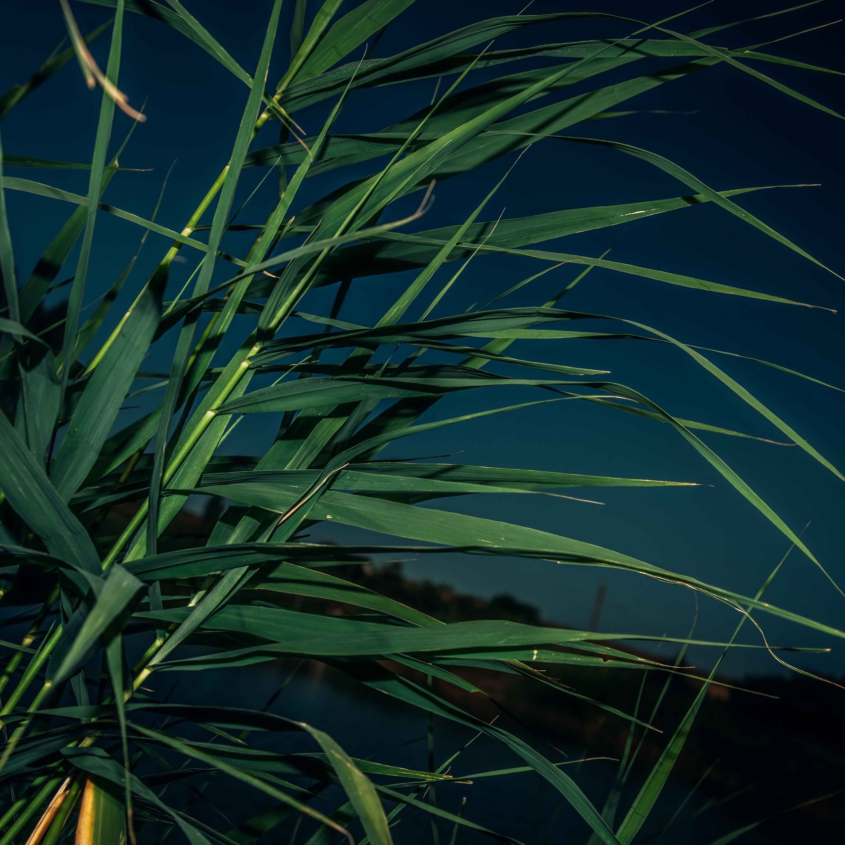 КОНTAKT. Фотография, как она есть