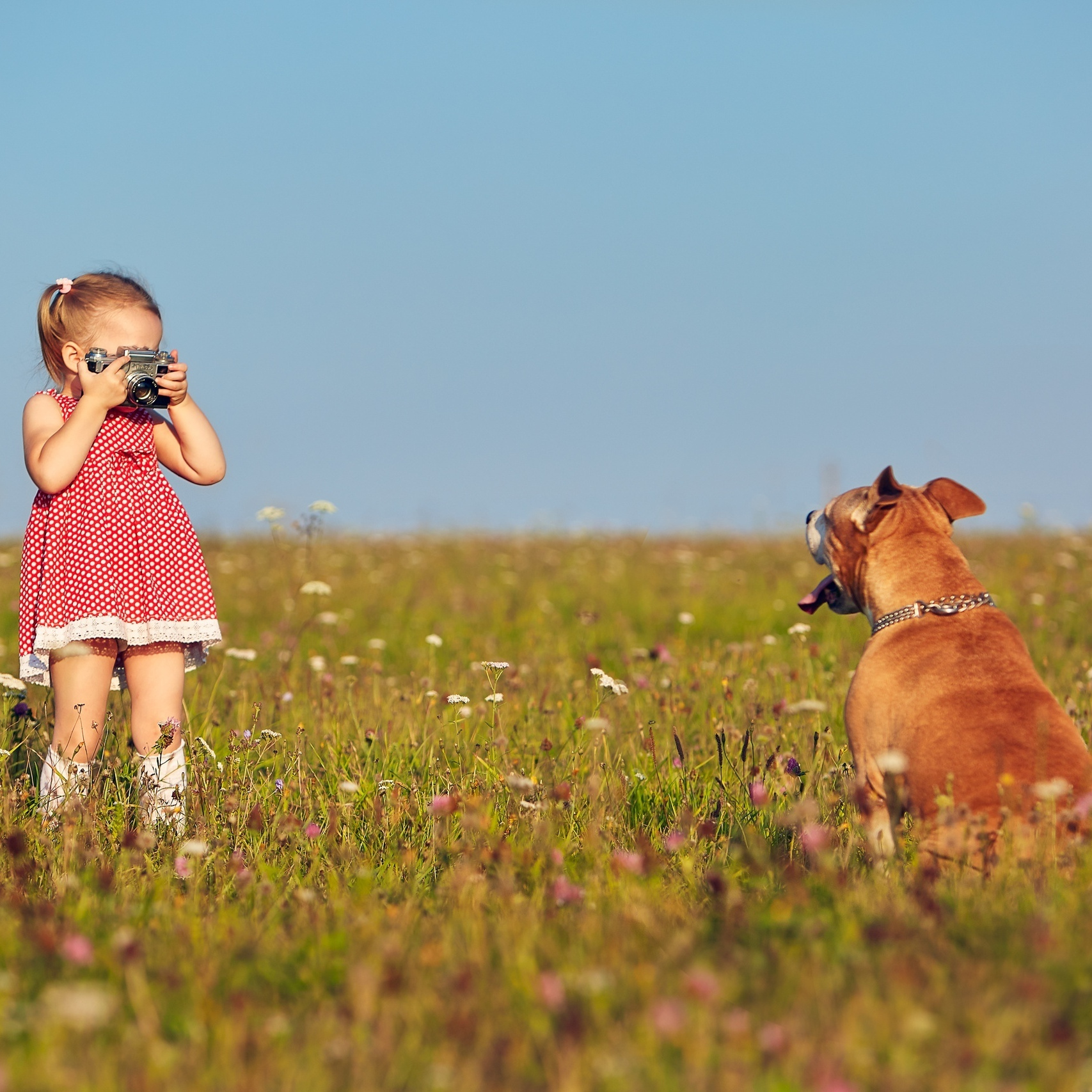Цена детской и семейной фотосъемки в Нижнем Новгороде. Детский и семейный фотограф в Нижнем Новгороде Мячикова Наталья