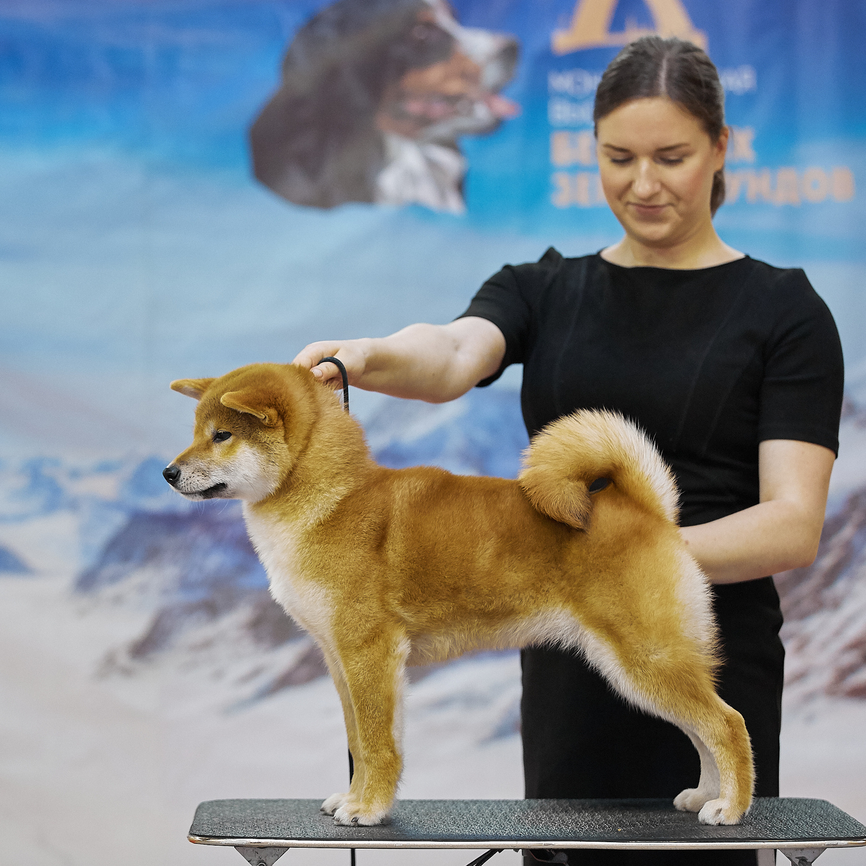 Локи * SHIOMARU EVER DREAM