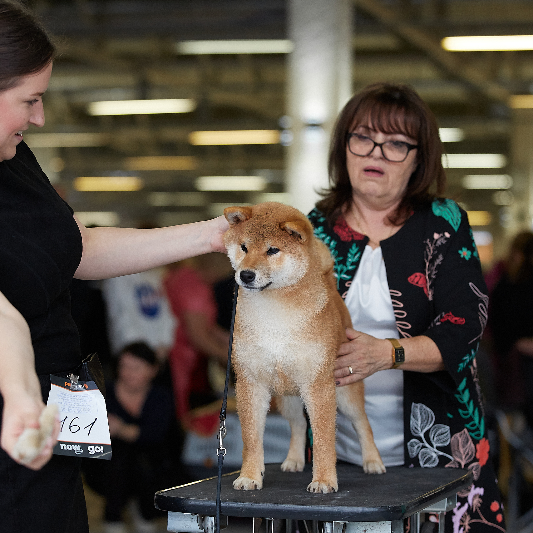 Локи * SHIOMARU EVER DREAM