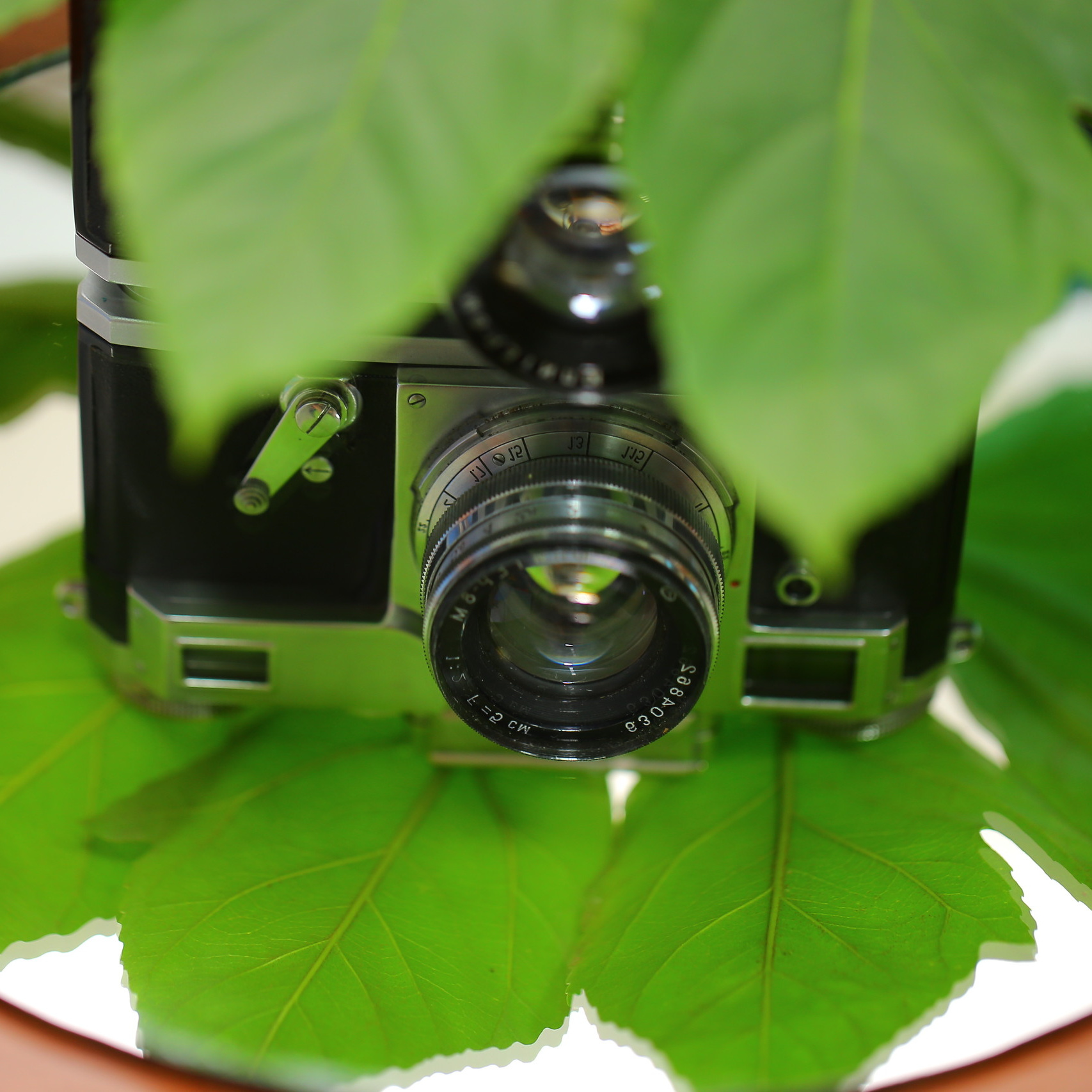 Контакты. Профессиональный фотограф. Работаю в Улан-Удэ, Новосибирске и др