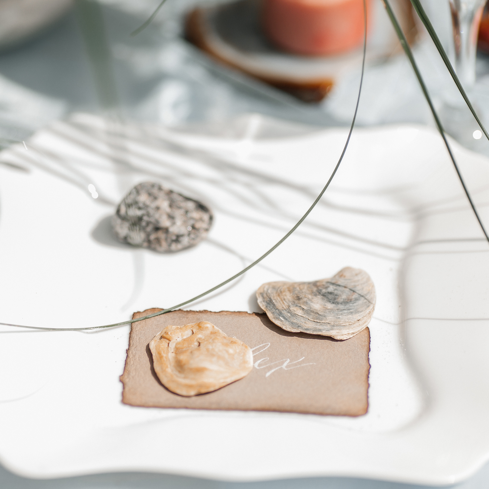 Аренда/Прокат. Воркшопы для фотографов в Москве и по всей России