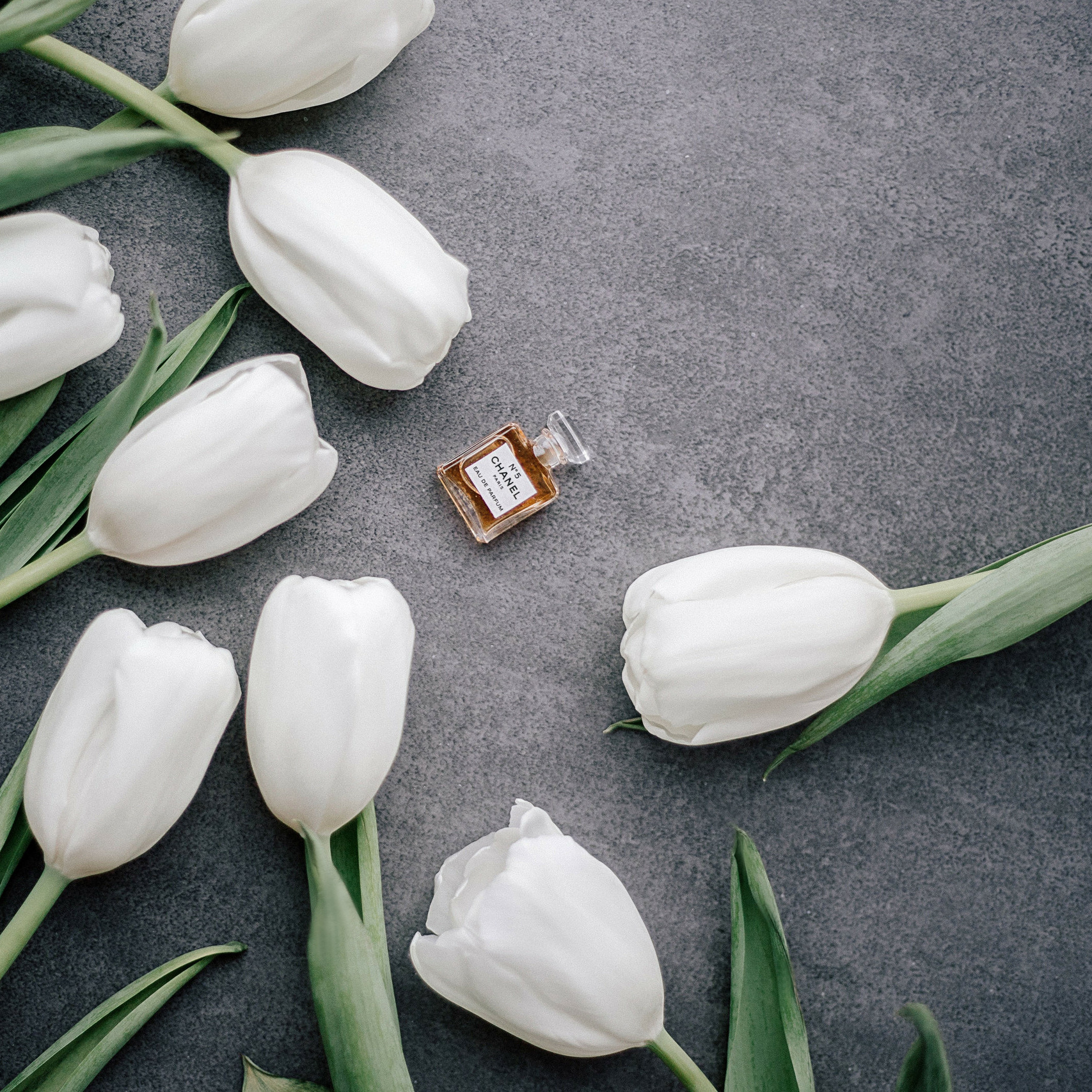 Стоимость. Свадебный и семейный фотограф в Санкт- Петербурге Гугучкина Полина