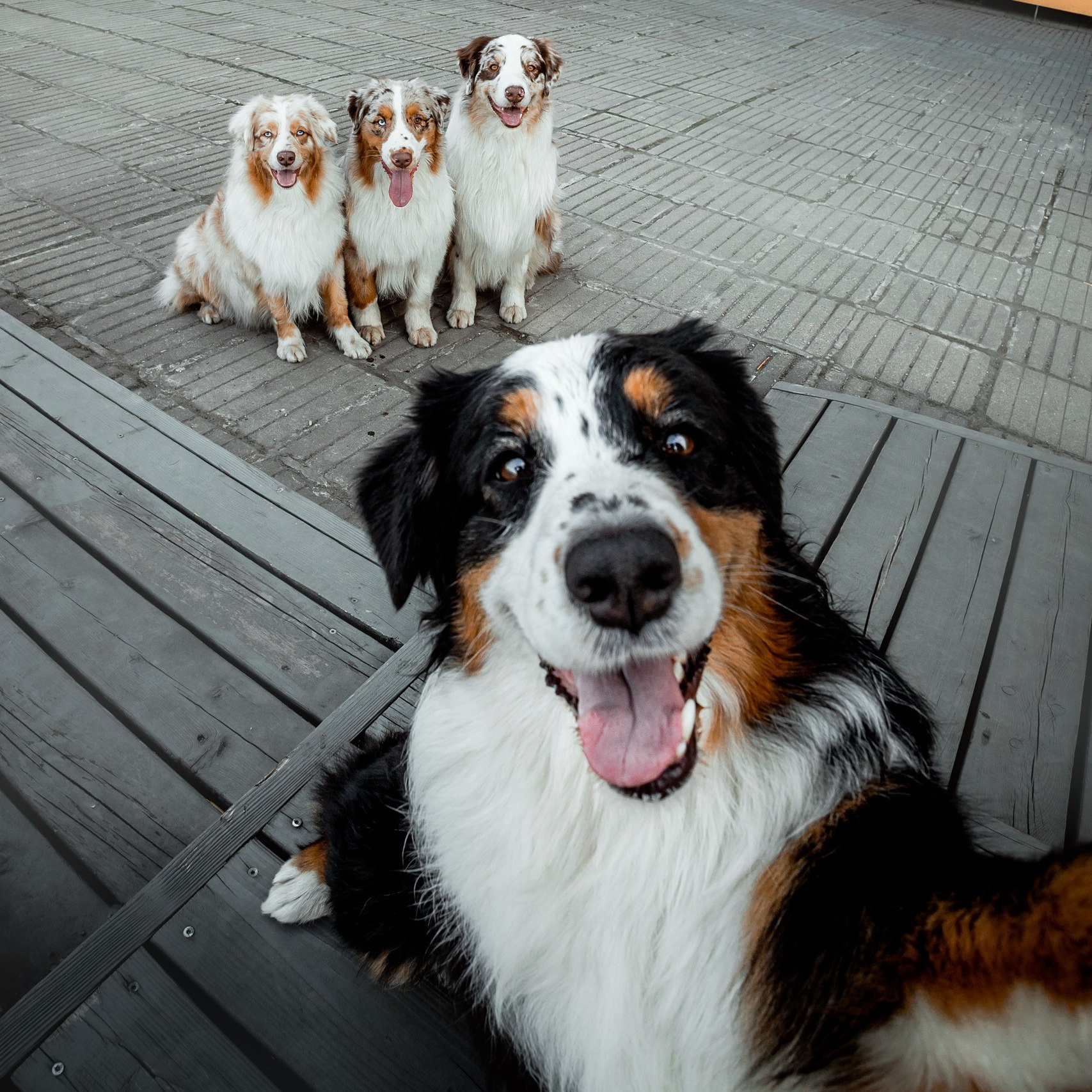 Видеоуроки и гайды