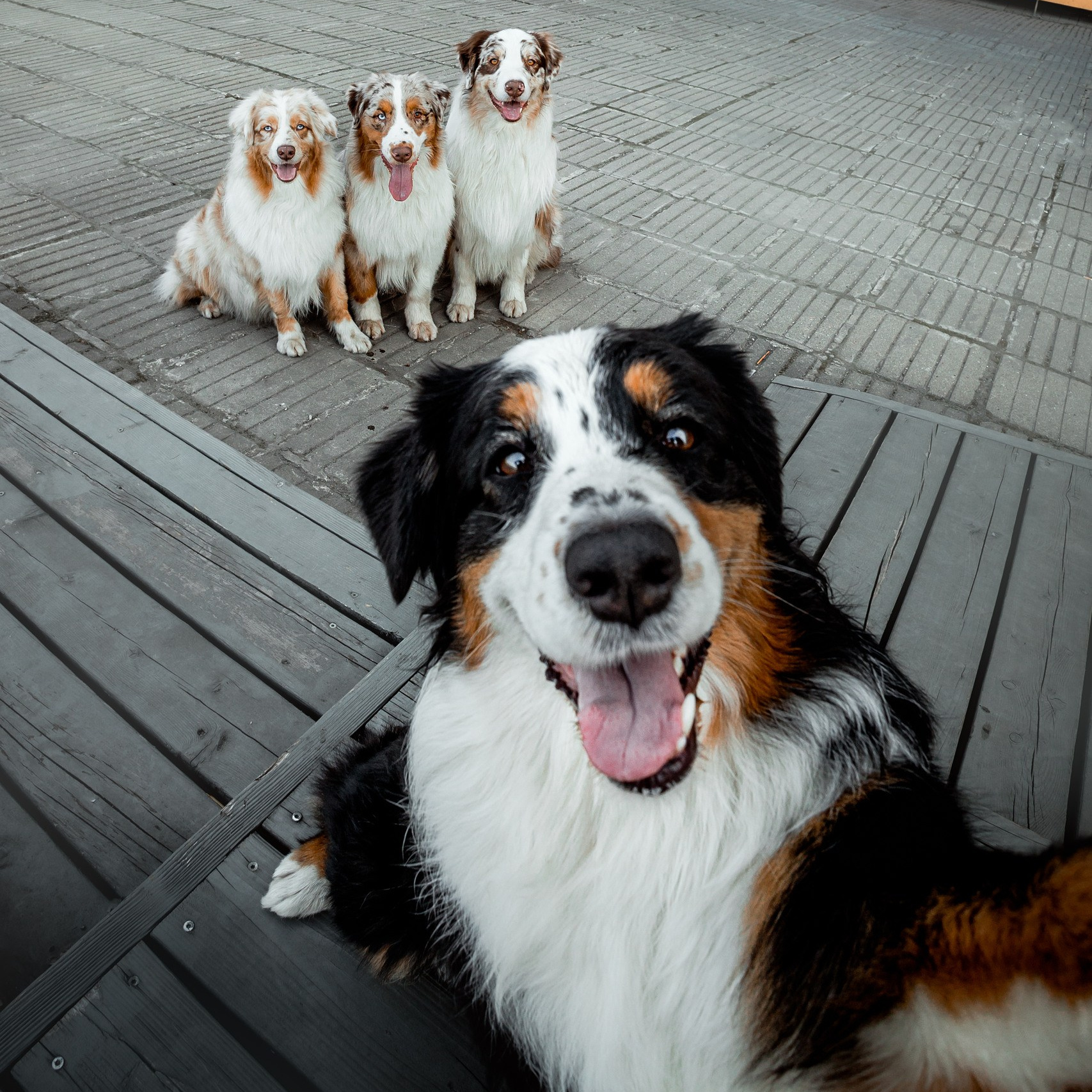 Индивидуальные уроки