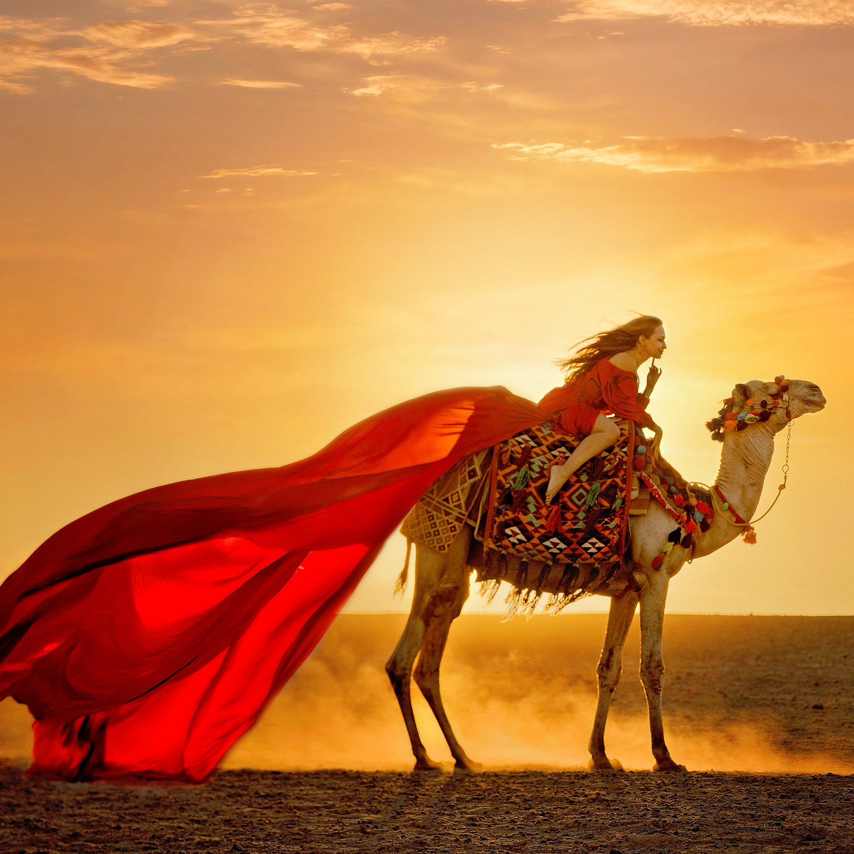 Авторские туры. Авторские туры в Египте