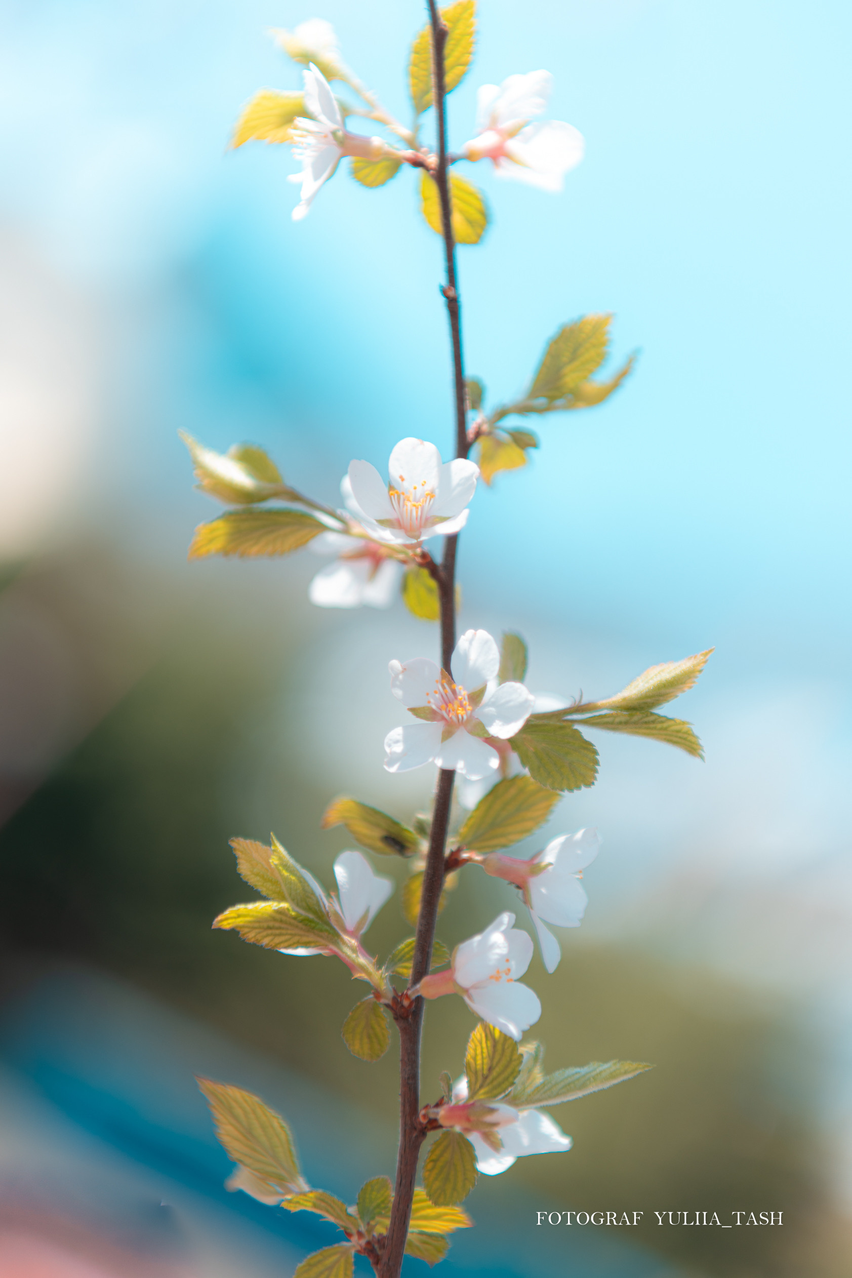 Пробуждение. Любимый фотограф
