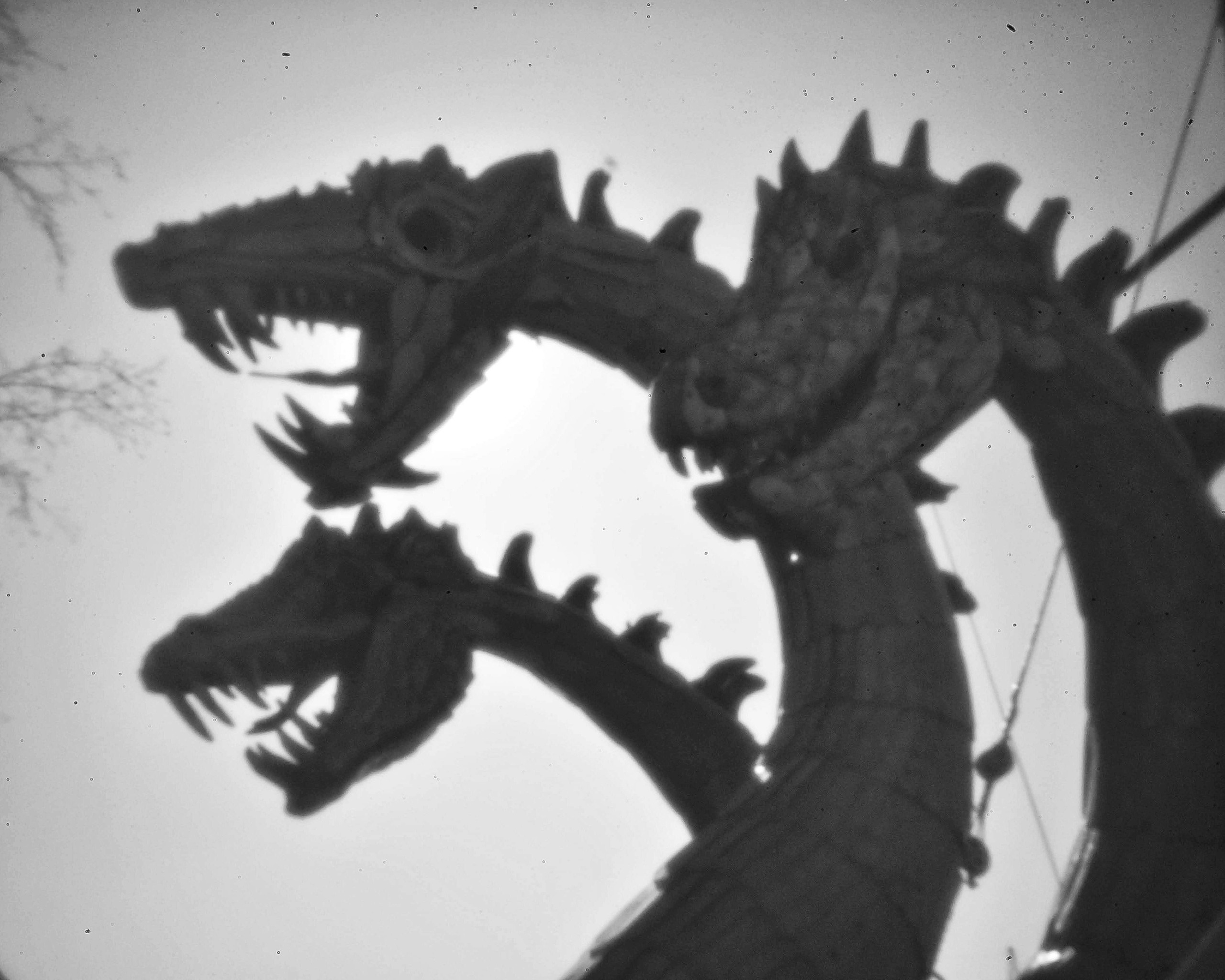 Пинхол или как снимать без объектива. То ещё портфолио