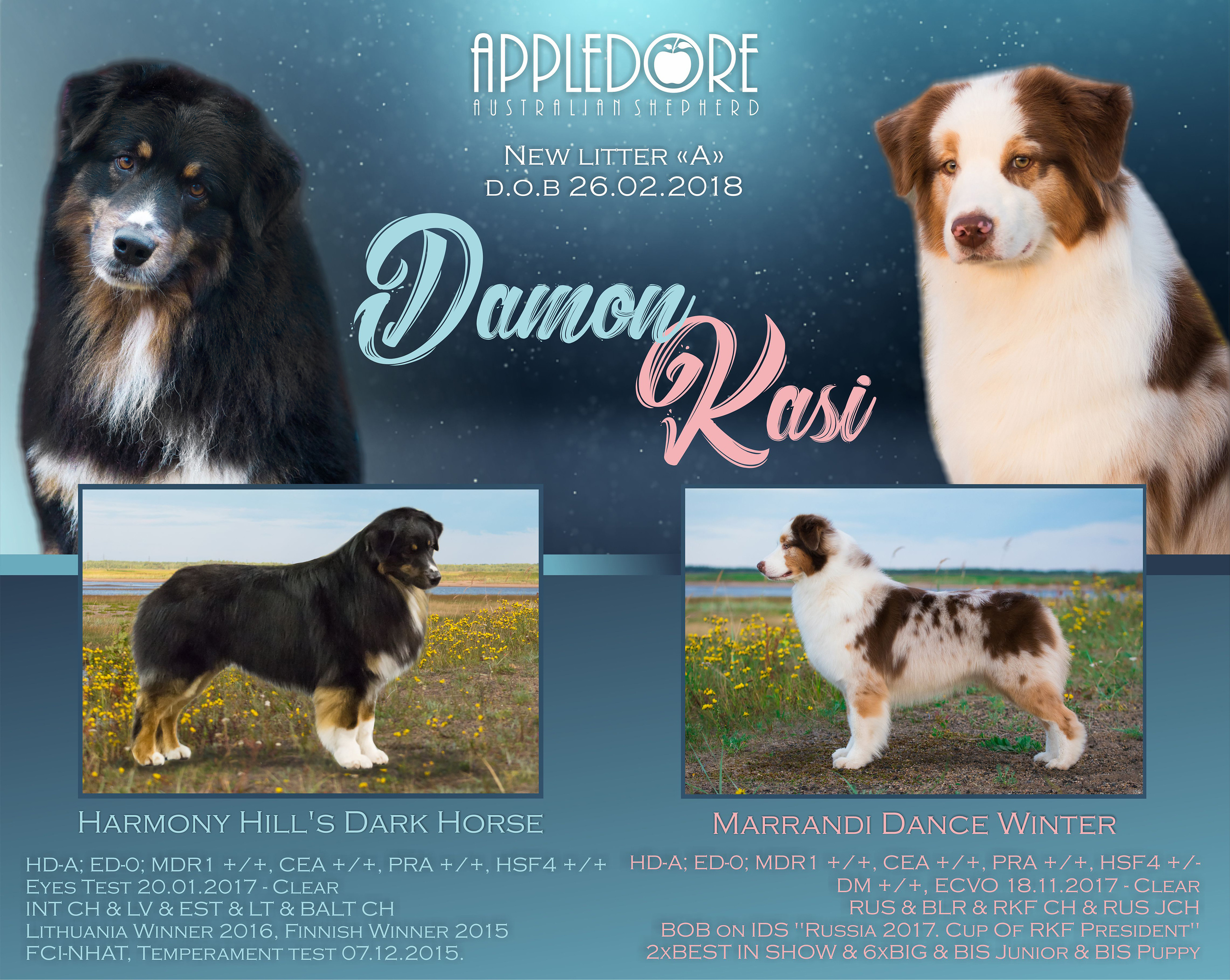 ПОМЕТ А. APPLEDORE