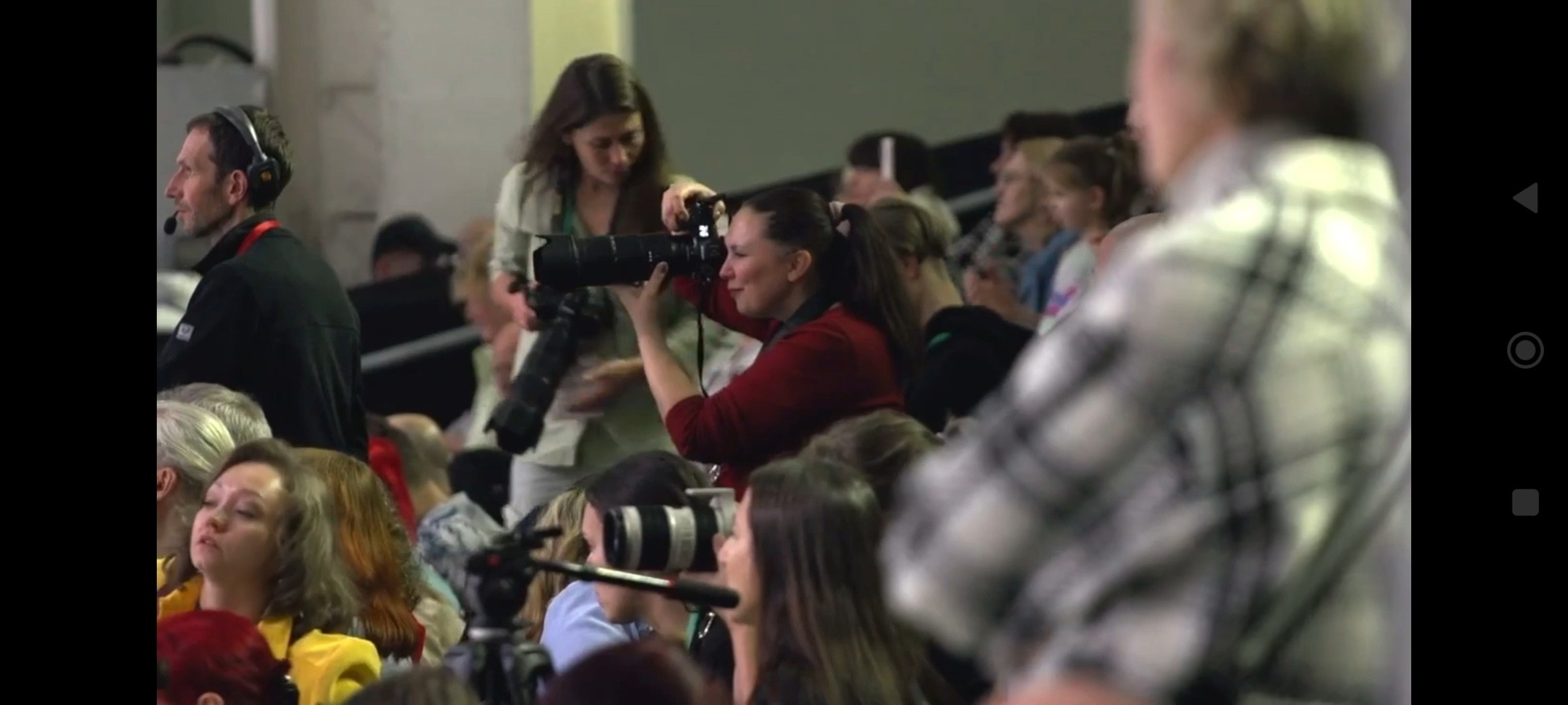 ✅ О СЕБЕ. Фотограф анималист Елена Галдина г. Красноярск