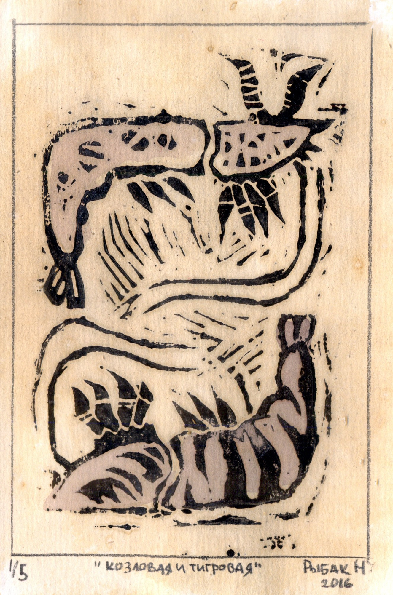 Серия Морские беспозвоночные. Художник Рыбак Николай