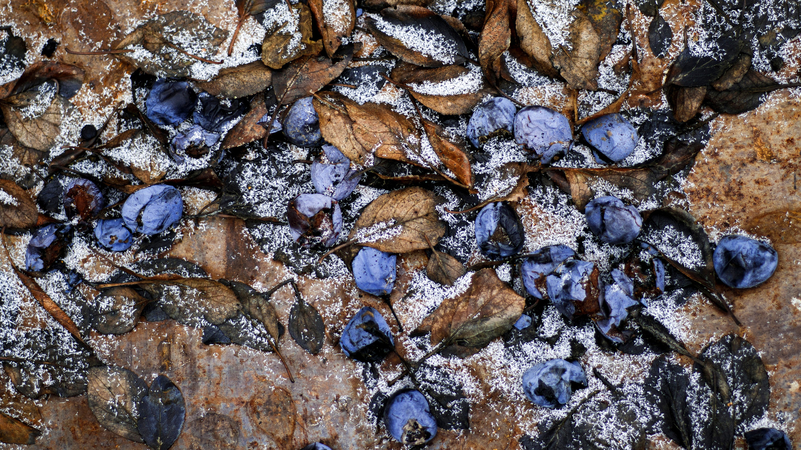 壁纸 – 高清艺术背景，美化您的屏幕