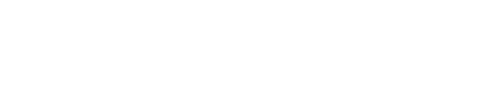 sonitaflint.wfolio.pro