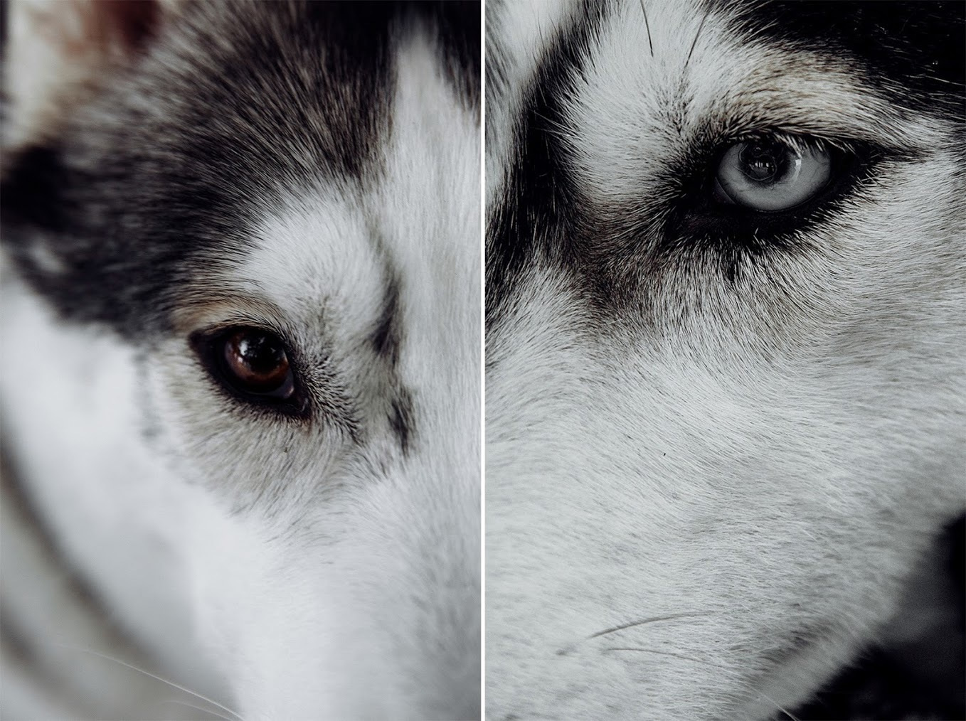 Метаморфозы любви. Inspiration проект. Фотограф Игорь Цаплин