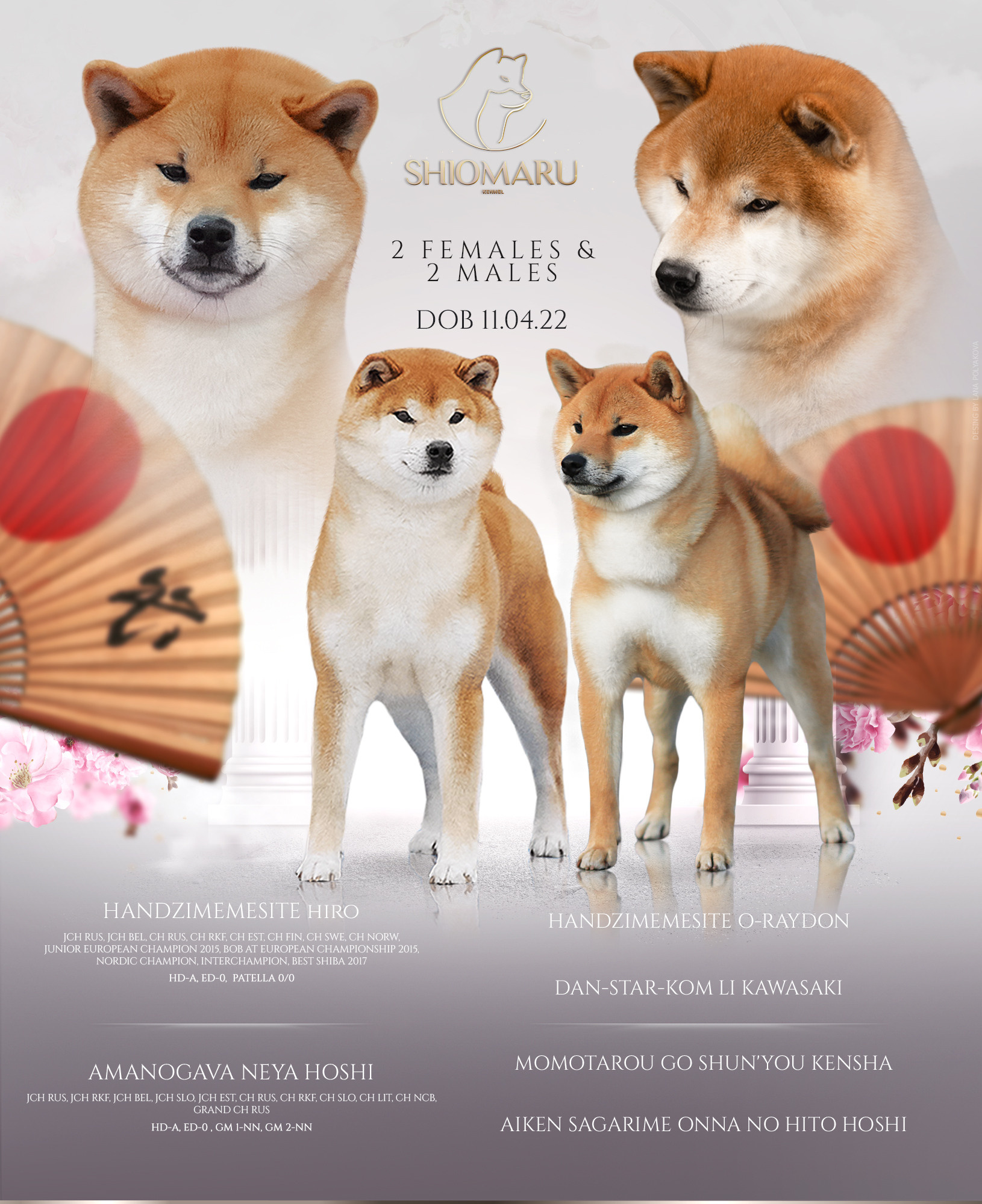 ПОМЕТЫ. SHIOMARU Питомник сиба и акита-ину