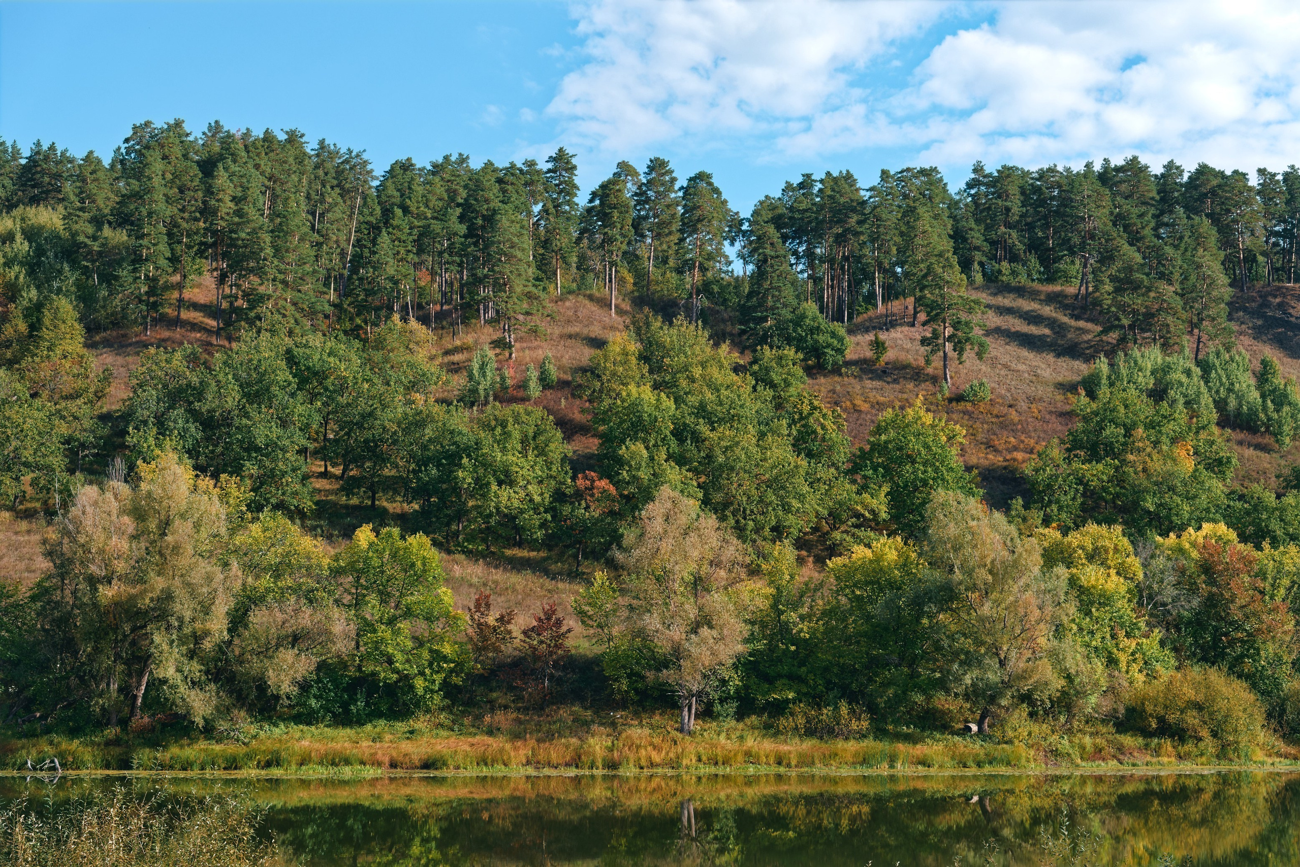 Мастрюково. Коммерческий фотограф в Самаре| DMTRY LUMEN