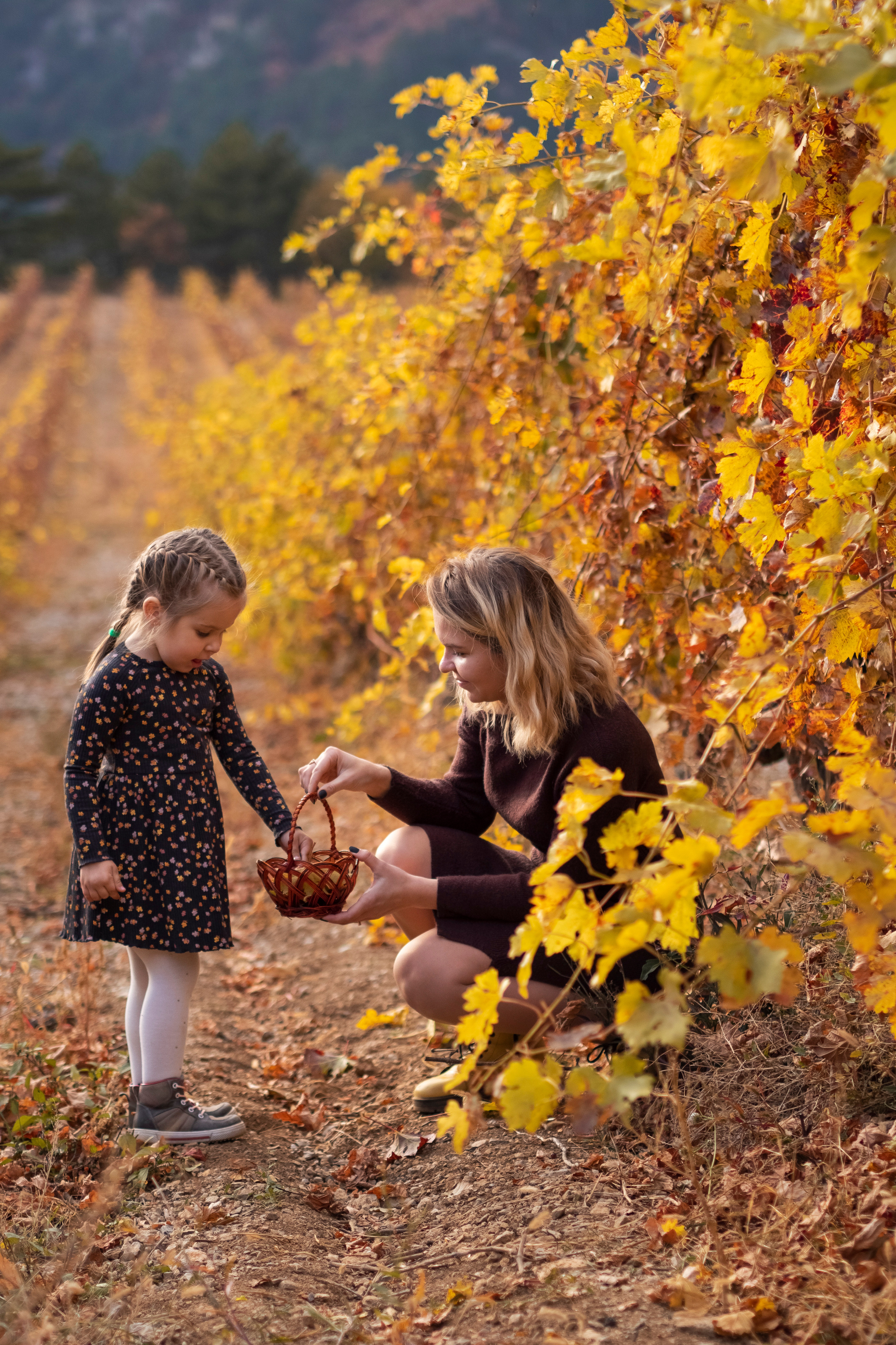 Фотограф в Крыму и Санкт-Петербурге