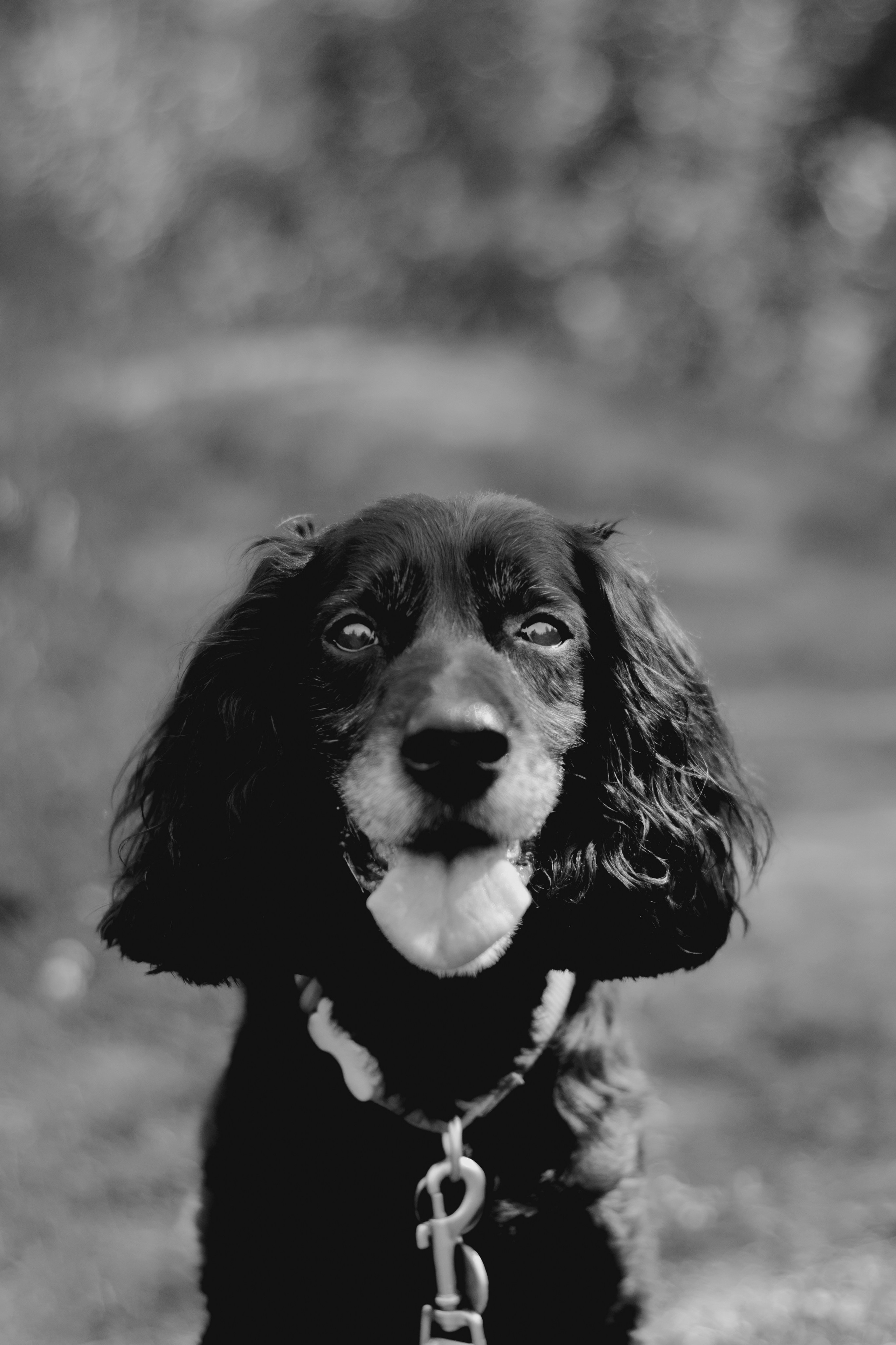 Фотограф в Тюмени Лизавета Сапицкая