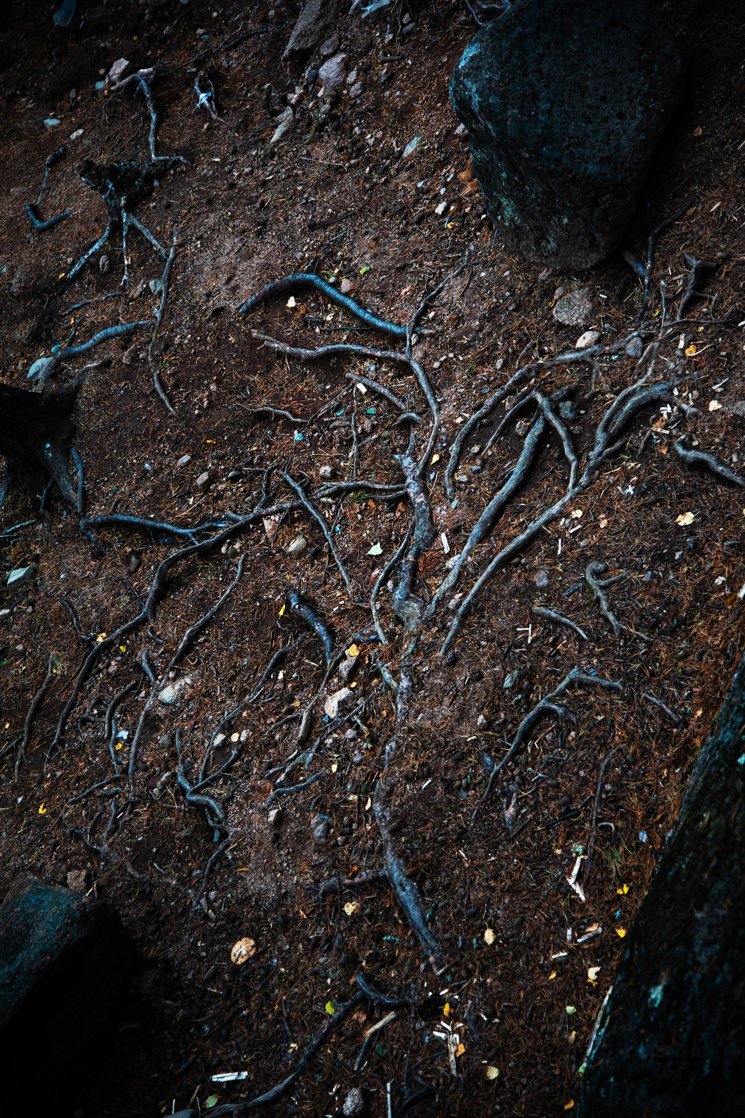 Точка равновесия. Арт-фотография, терапевтическая фотография в Москве. Фотограф Анна Ермолова