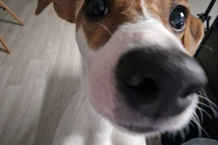 Лина Бахт. Блог с душой