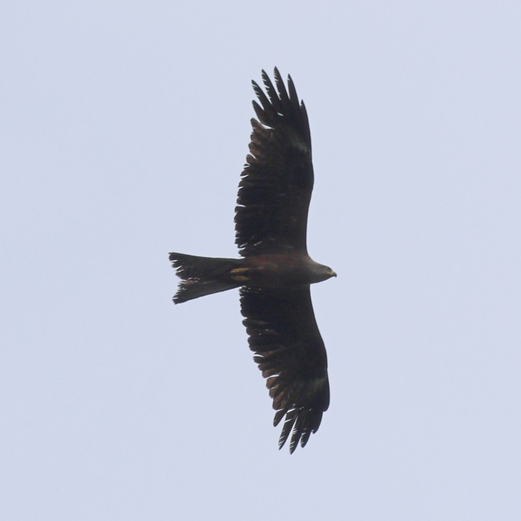 Большой уикенд. Пятница