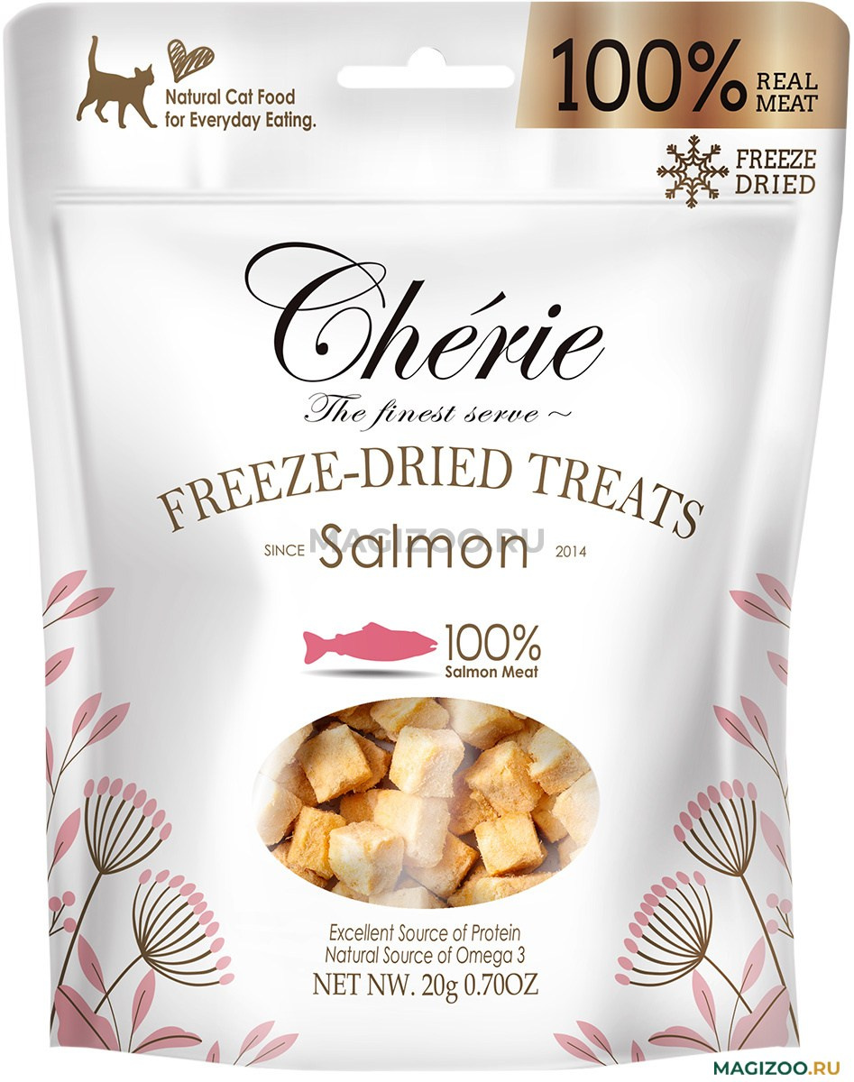 Котёнок американской бурмы. Las Burmas — питомник американской бурмы традиционных линий