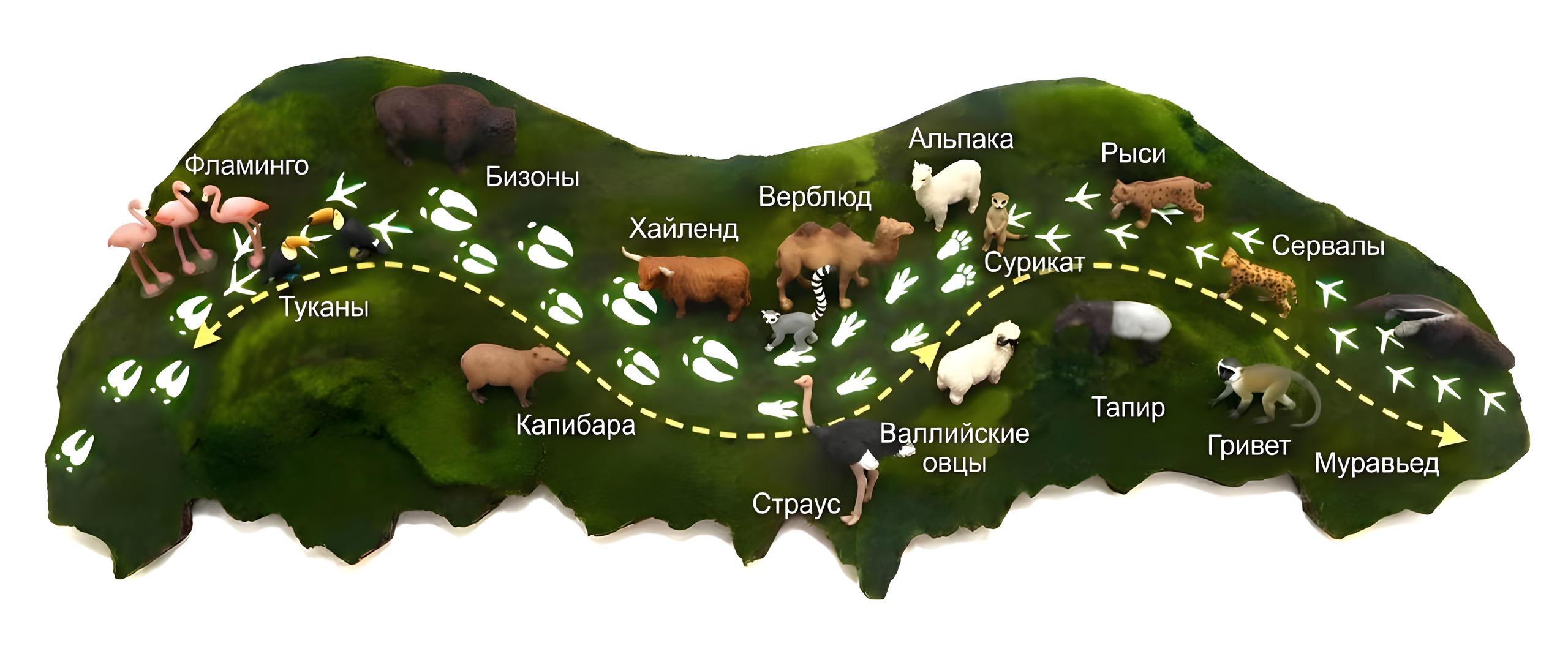 Иконка - территория зоопарка в гектарах леса