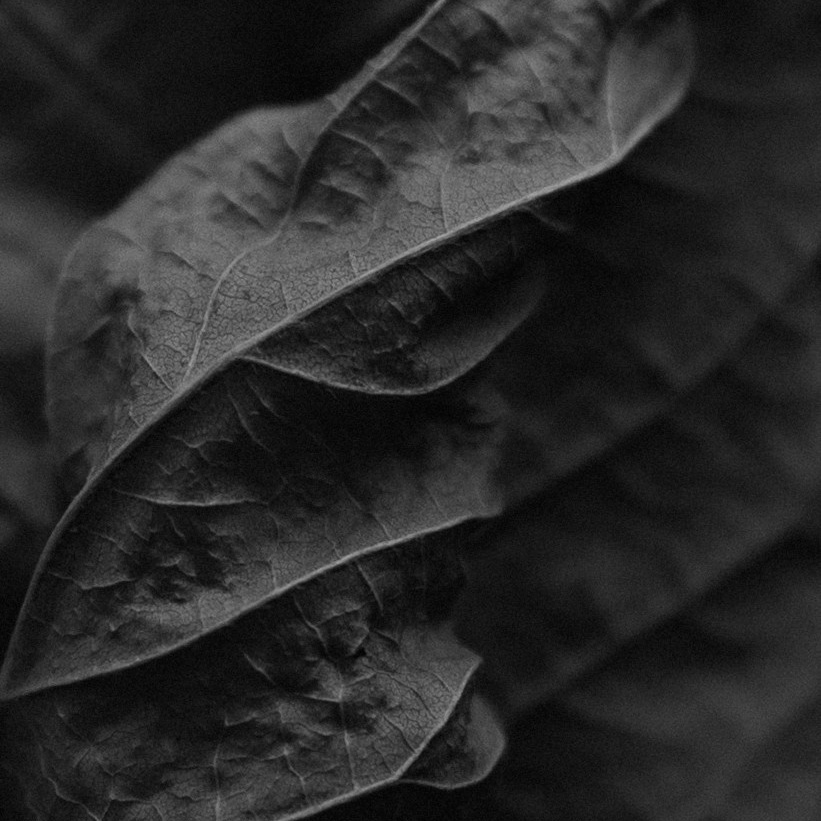 Фотограф в Москве Мария Терентьева