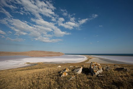 Школа. Главная