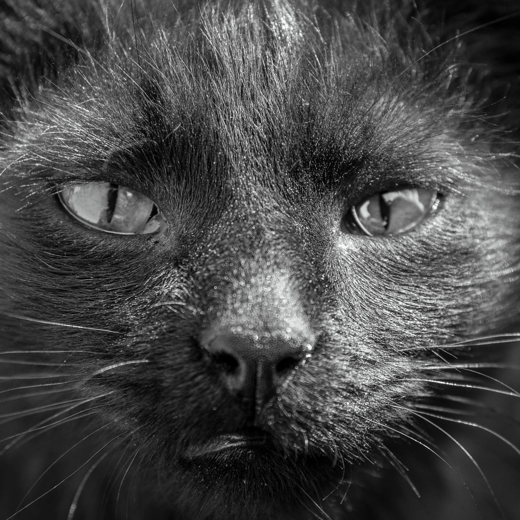 Репортажный и концертный фотограф в Волгограде Павел Панько