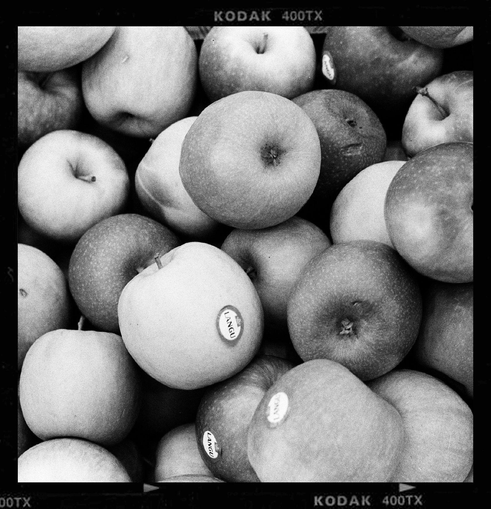 Sasha Avis Photography