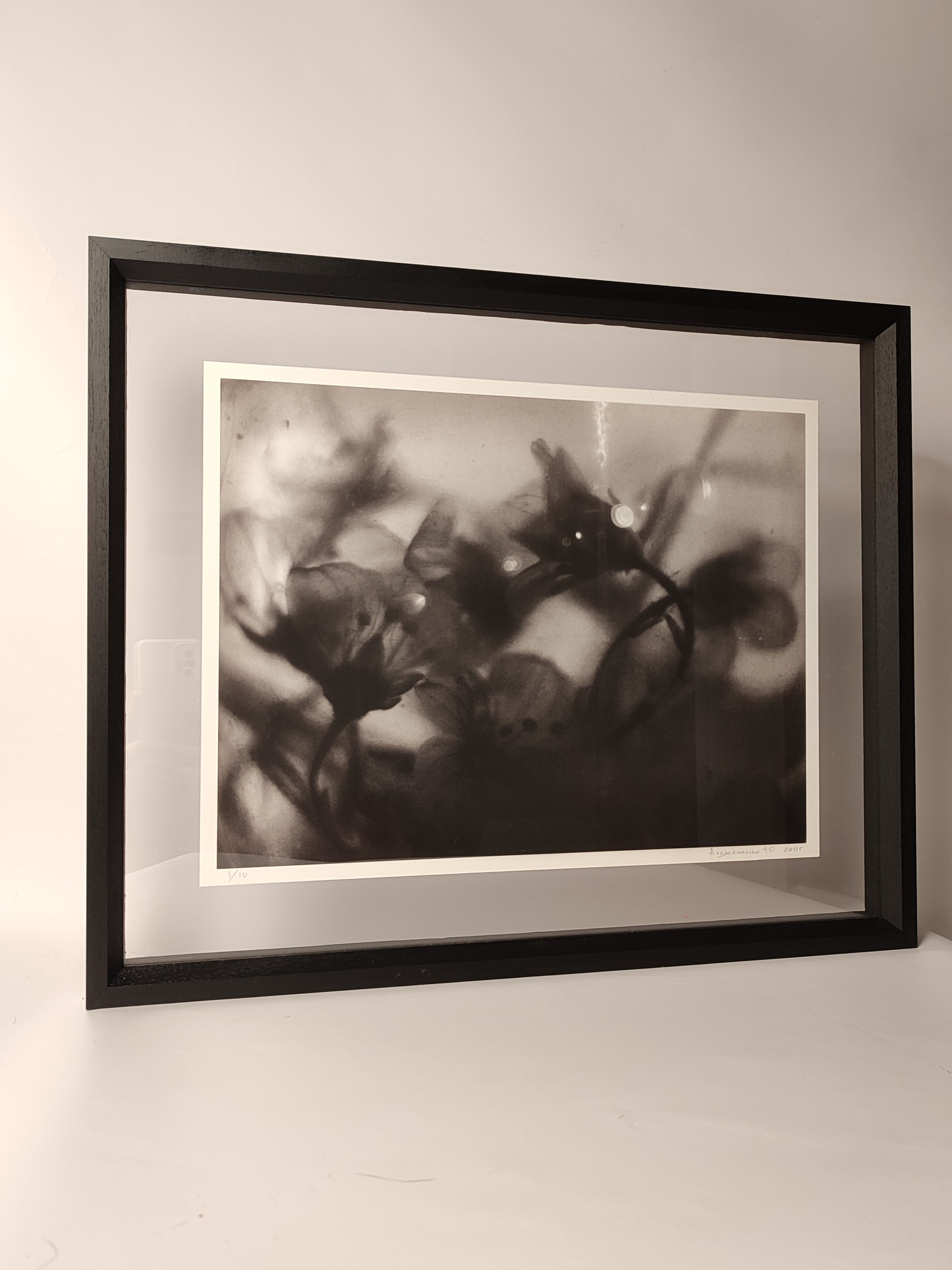 Серия «Цветы и медузы». Плёночный фотограф Юлия Андрейченко в Москве