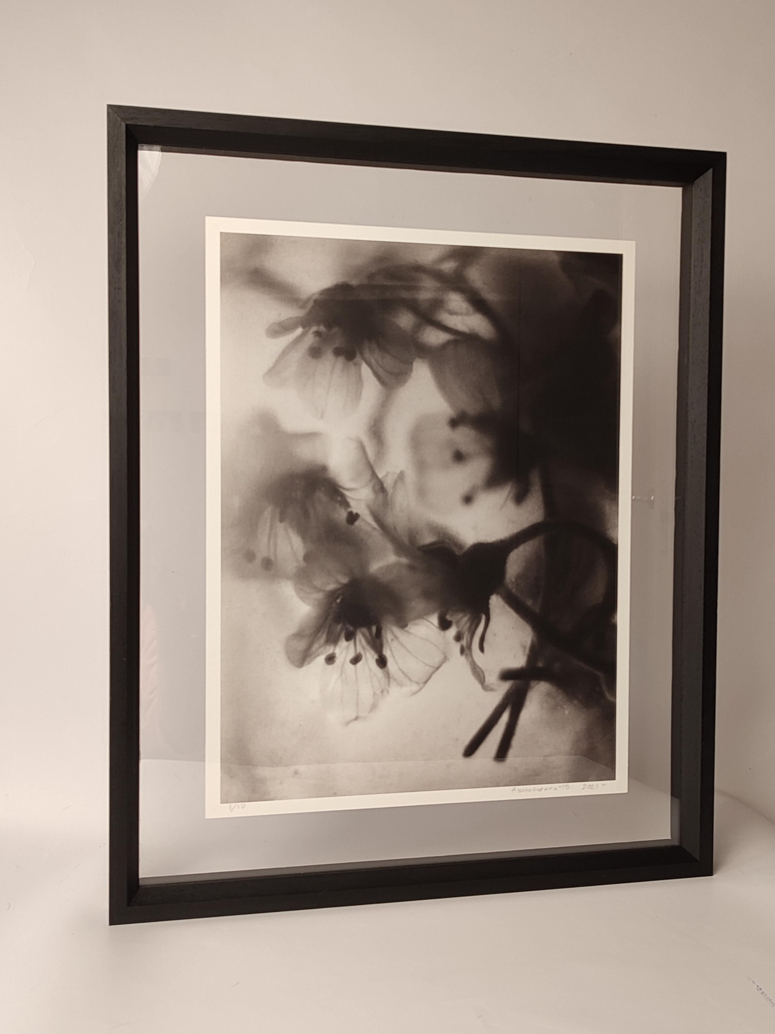 Серия «Цветы и медузы». Плёночный фотограф Юлия Андрейченко в Москве