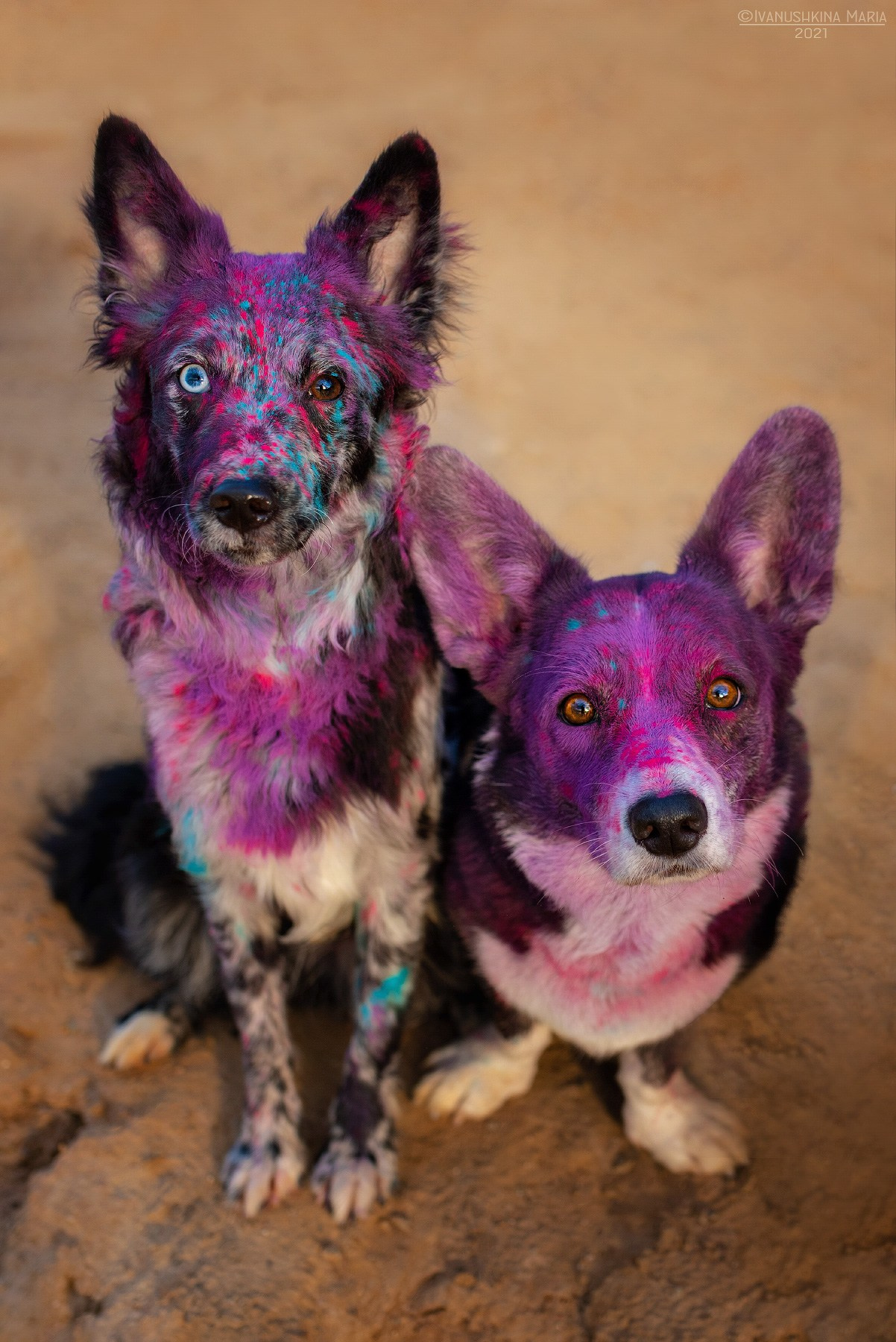 фото с красками холи