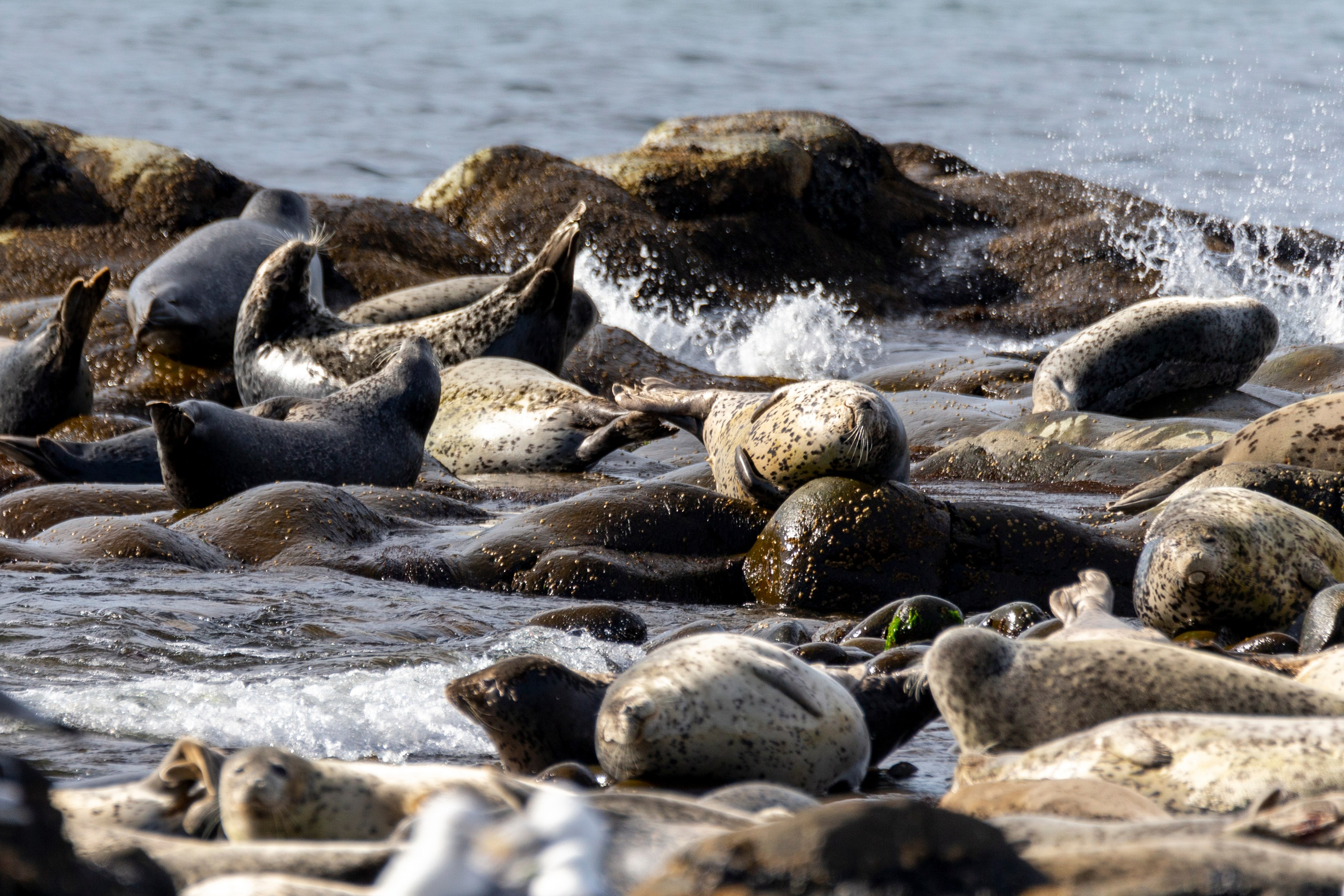 Русская бухта — дикая природа и морские маршруты Камчатки. Время Камчатки: чтобы найти свой путь, нужно скорость умножить на время