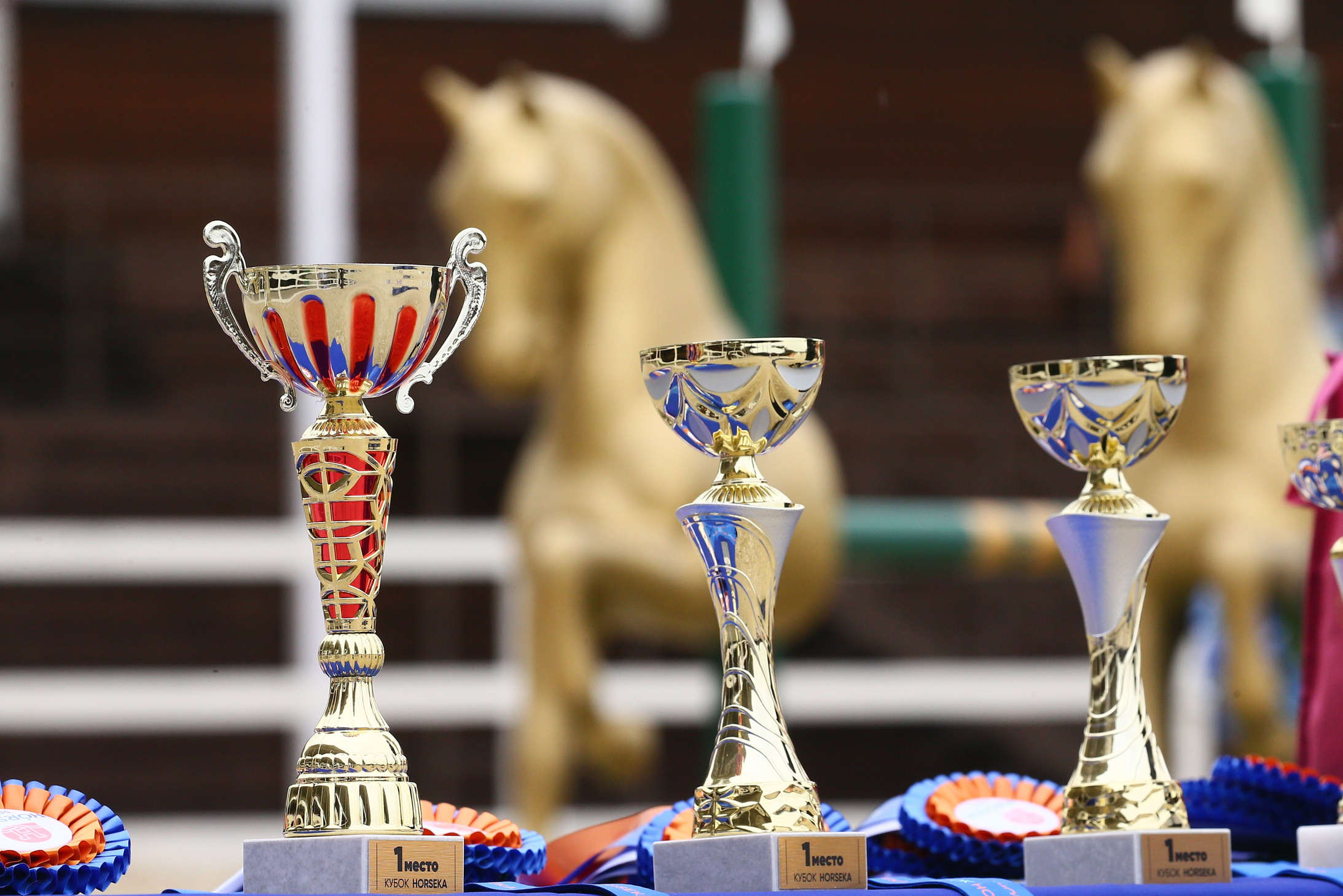 Купить фотографии с турниров. KatymartArt — Equine photography