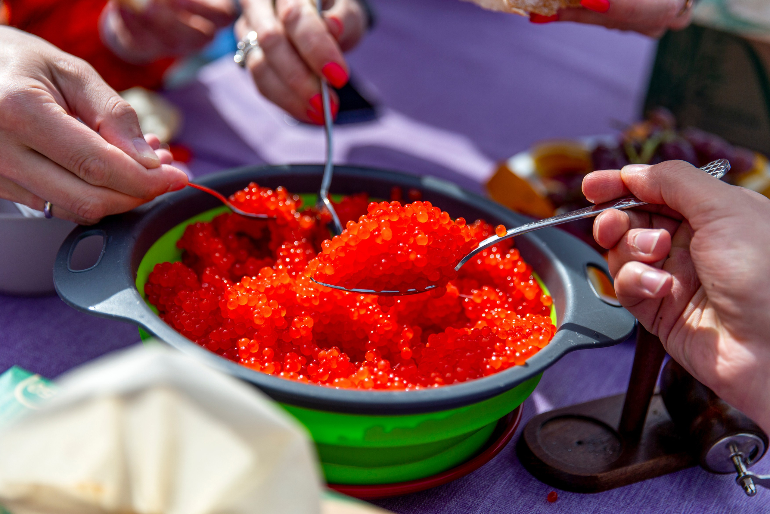 Научно-популярная Камчатка. Время Камчатки: чтобы найти свой путь, нужно скорость умножить на время