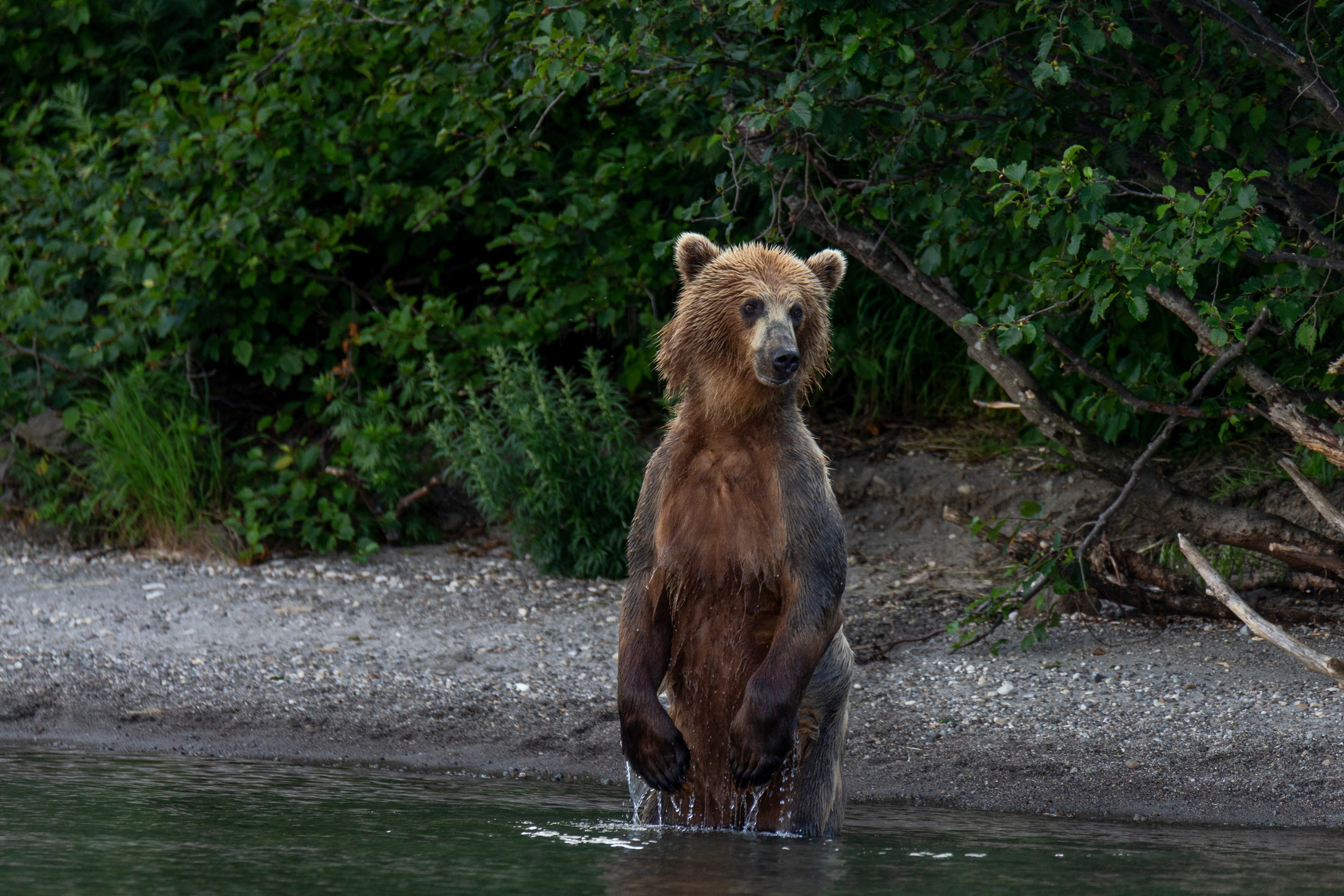 Сплав на рафтах. Время Камчатки: чтобы найти свой путь, нужно скорость умножить на время