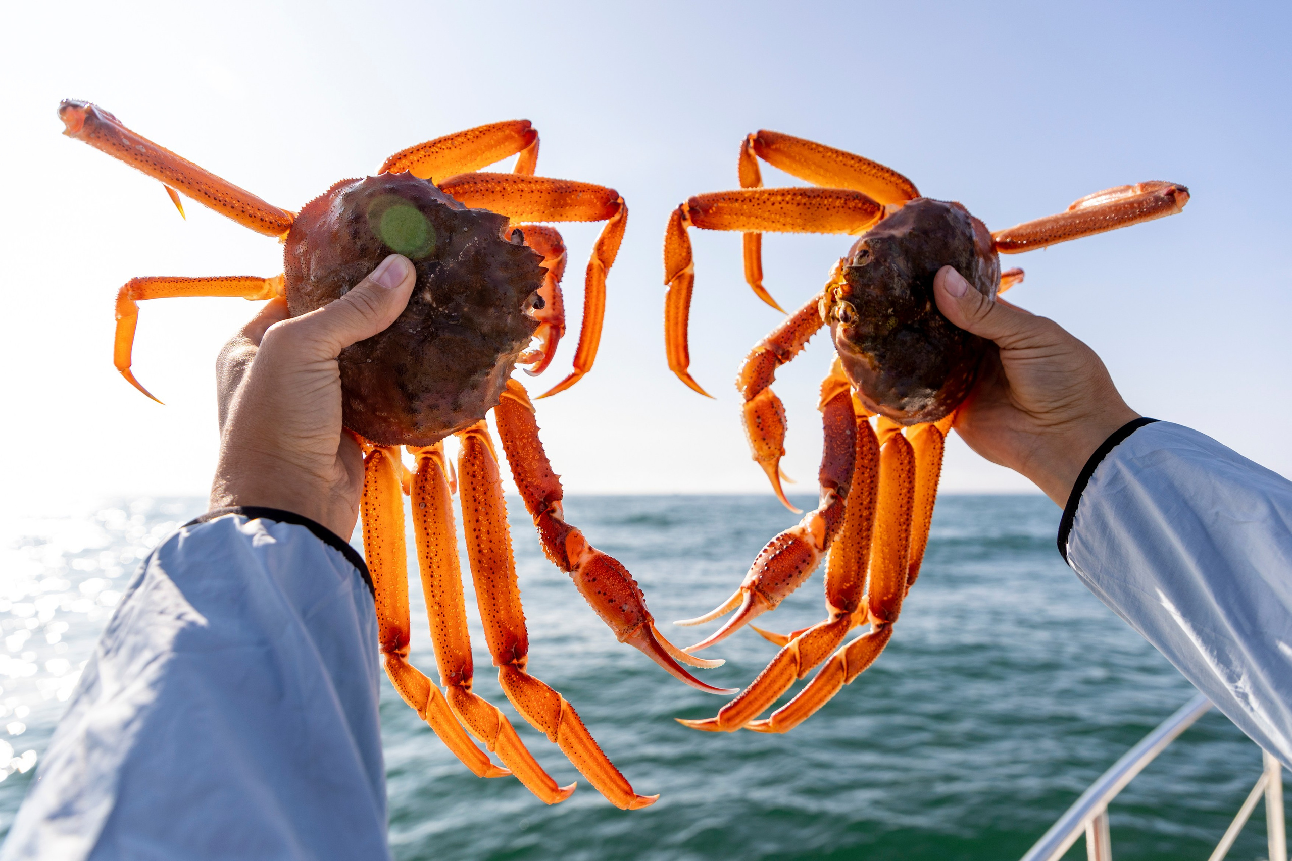 Крабовое сафари + мыс Маячный. Время Камчатки: чтобы найти свой путь, нужно скорость умножить на время
