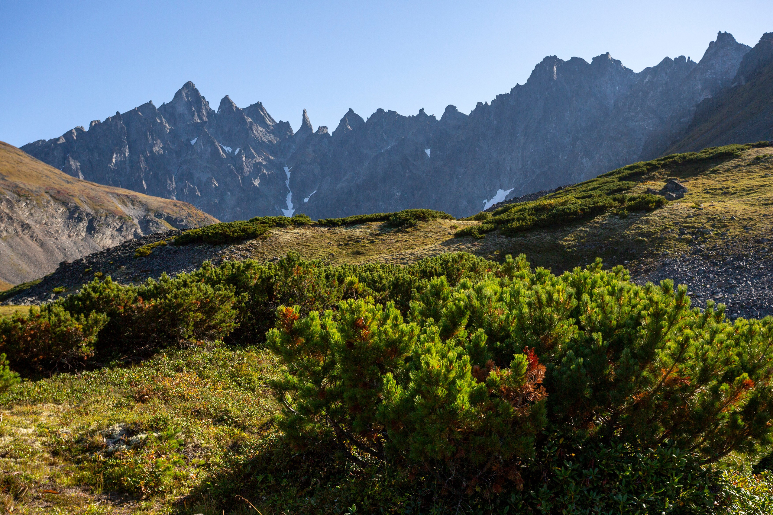 Ганальские востряки. Время Камчатки: чтобы найти свой путь, нужно скорость умножить на время