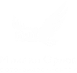 orlovfoto.ru