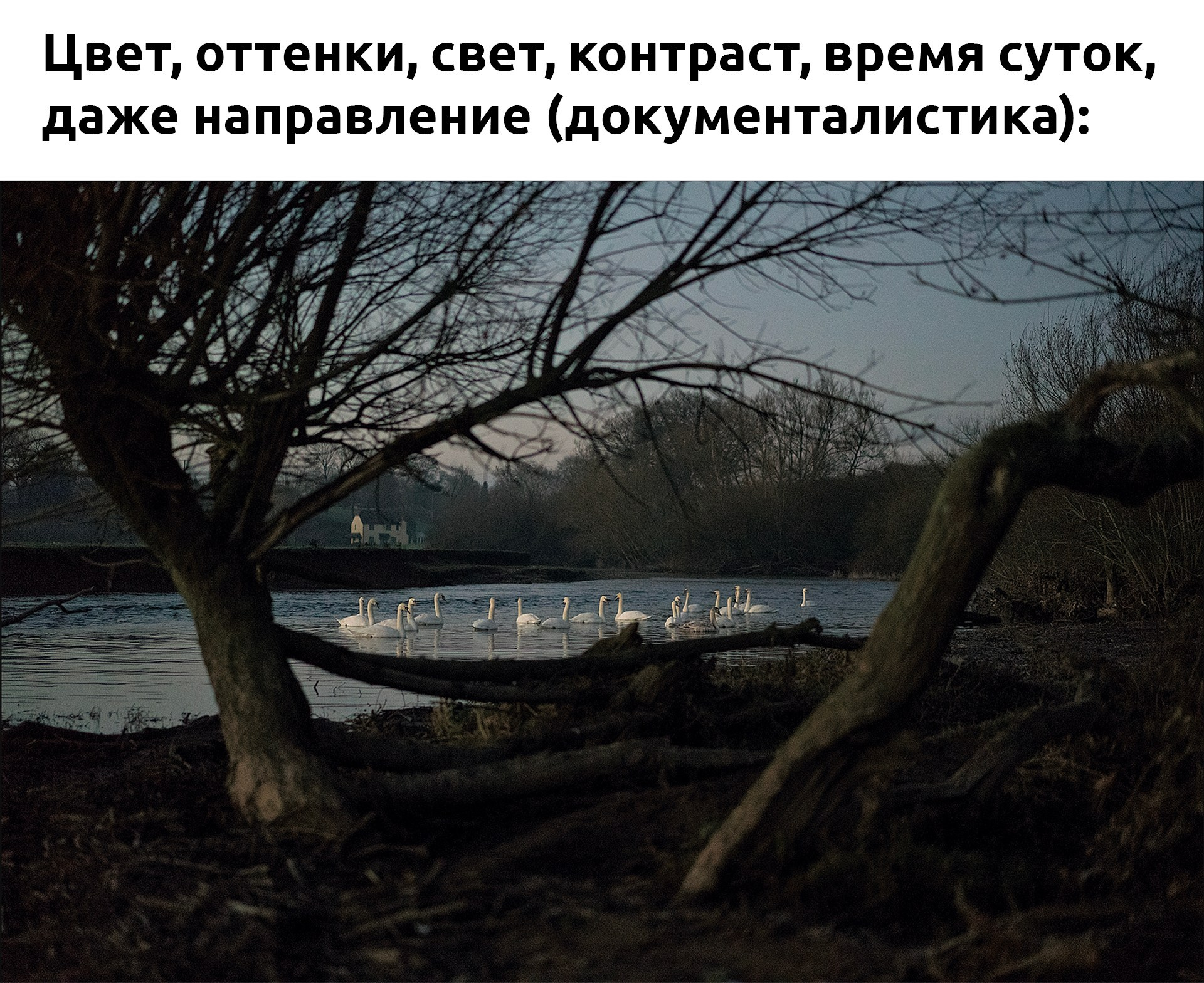 Что такое «твое»?. …