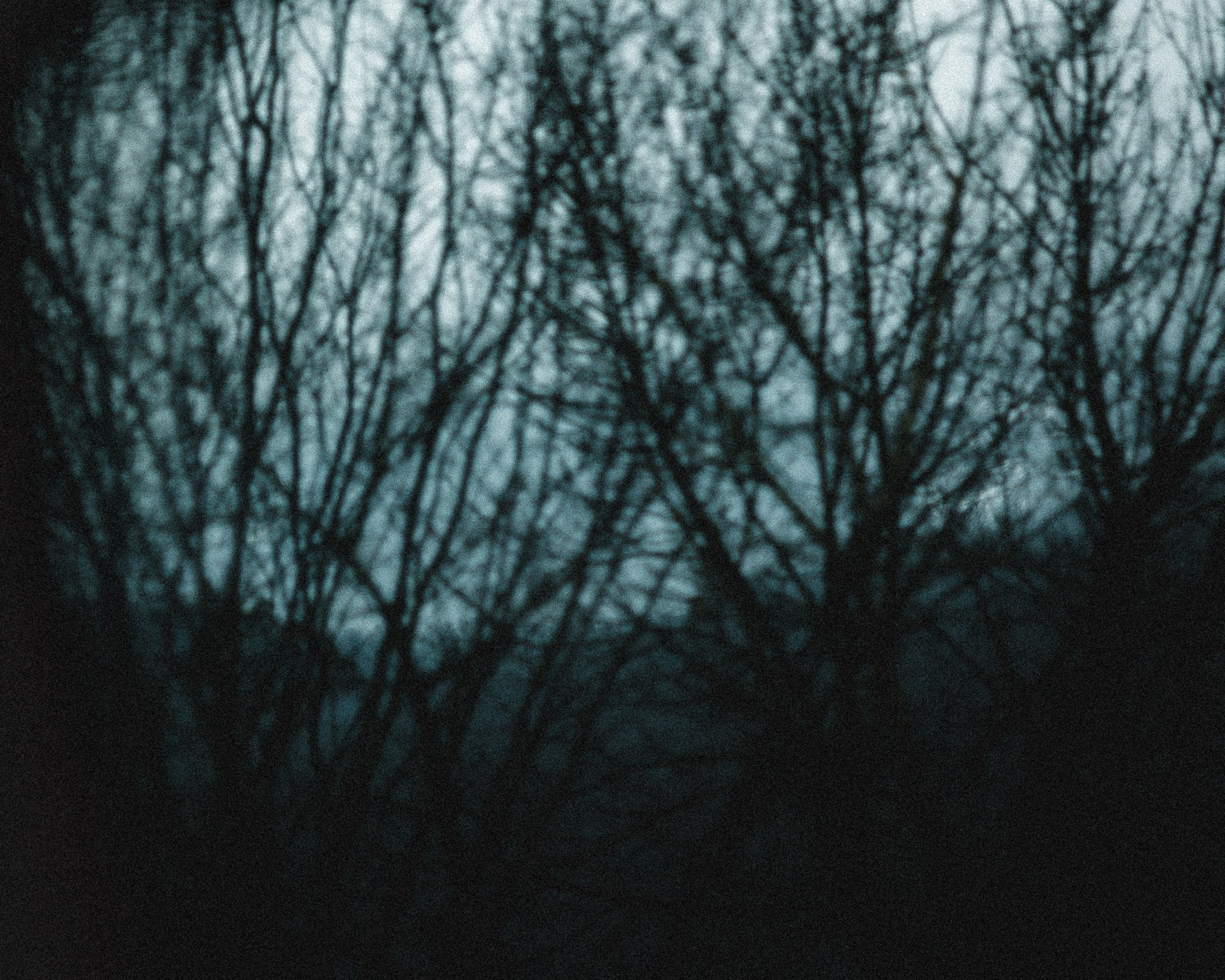 Абхазия. Фотограф Паша Максимов