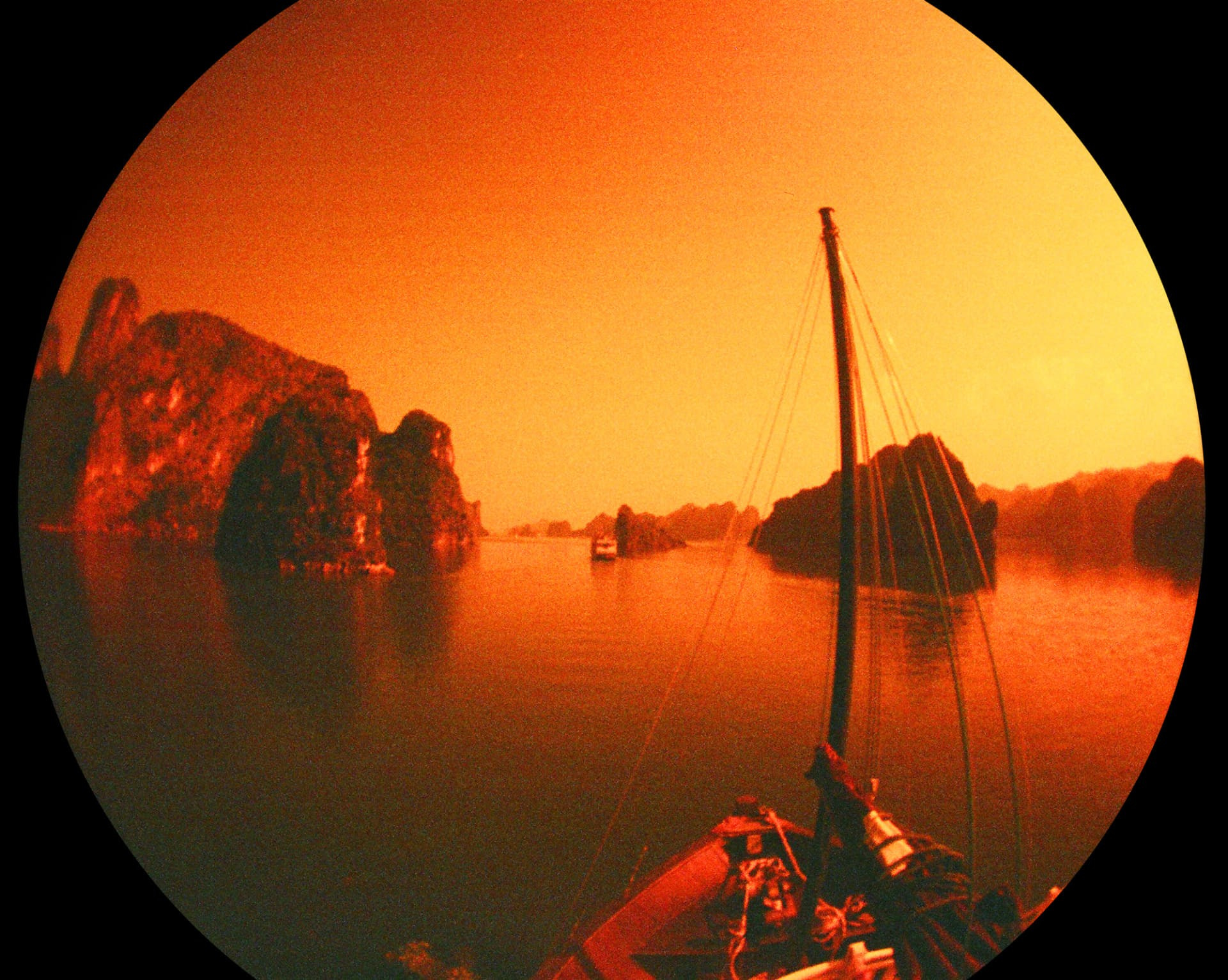 Компания Lomography добавила оранжевый «Papaya Pop». Фотограф — видеограф в Москве Дмитрий Менделеев