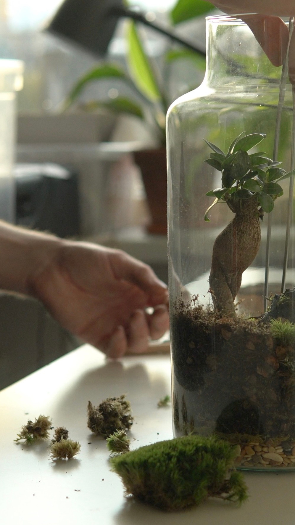 Услуги. Люся Новак. видеограф и фотограф. Москва