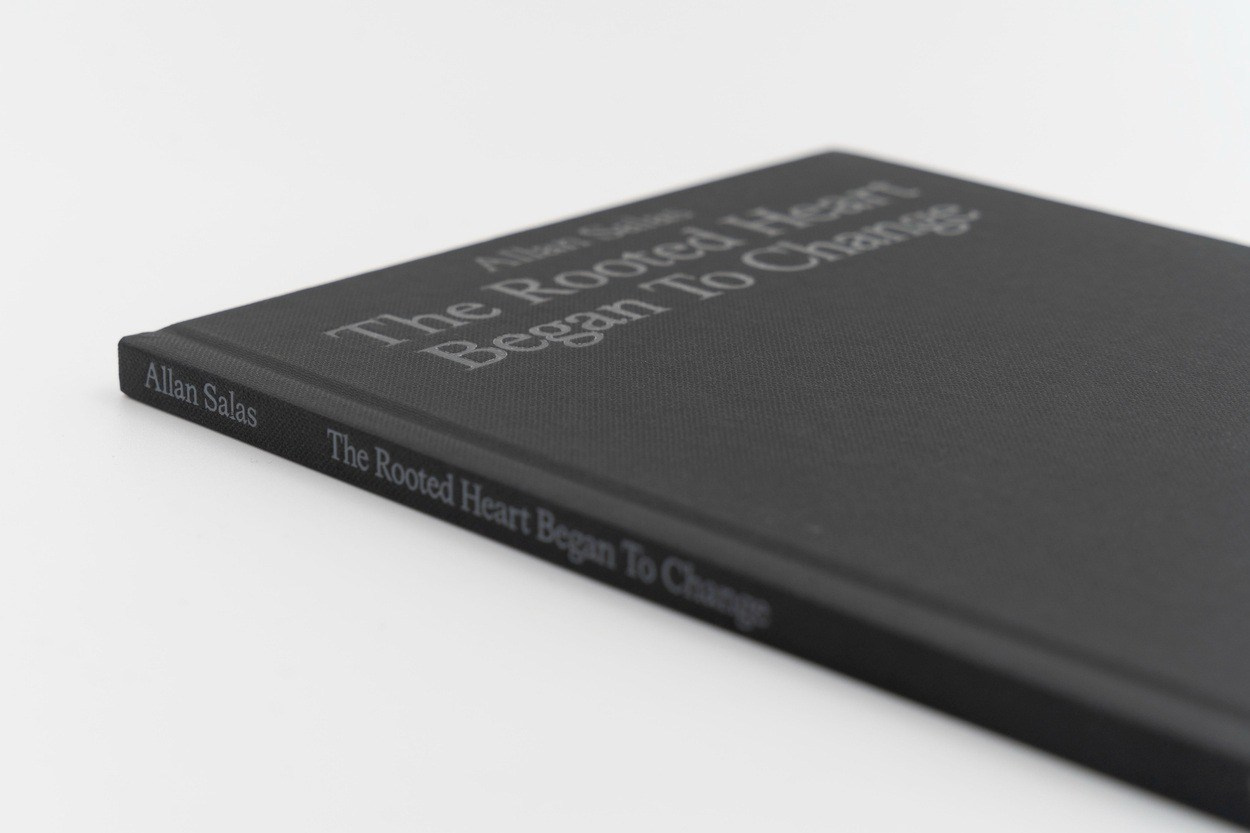 PhMuseum: Неполное руководство по созданию фотокниг — Аллан Салас. Самоорганизация Низина