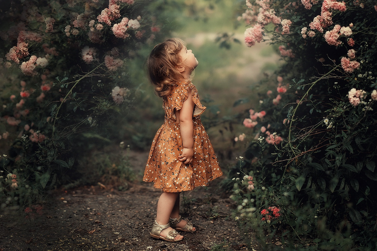 Обучение. Свадебный/Семейный фотограф Белореченск/Майкоп/Краснодар