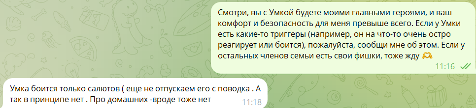Как подготовить собаку к фотосессии. Фотограф-анималист в Москве Екатерина Тихонова