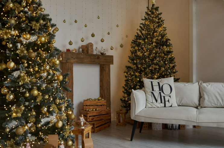 Новогодние съёмки. Балетный фотограф в Москве Галина Молчанова