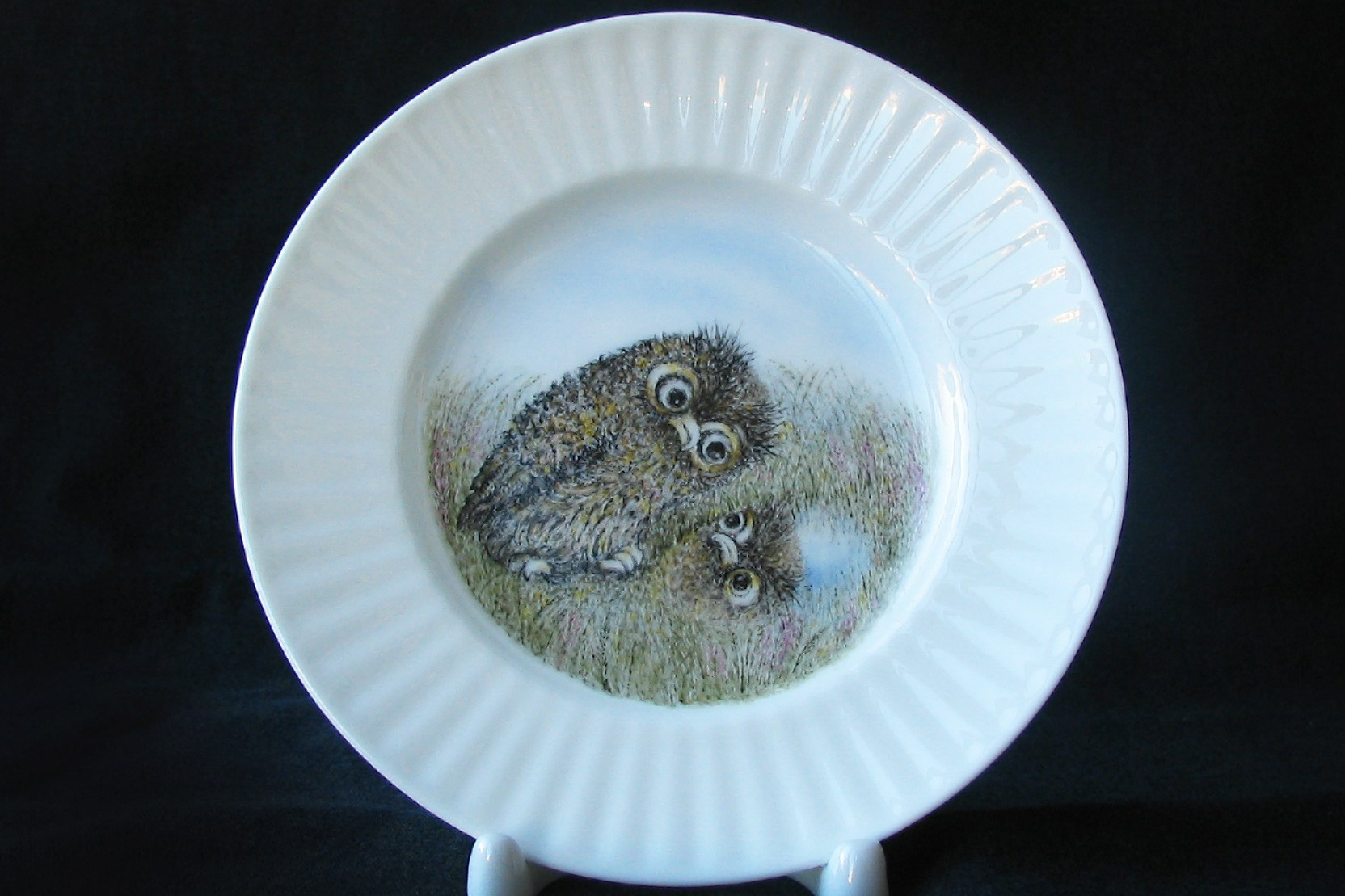 Ежик в тумане тарелка «Сова» ИФЗ костяной фарфор. Роспись фарфора на заказ в Санкт-Петербурге. Детская посуда